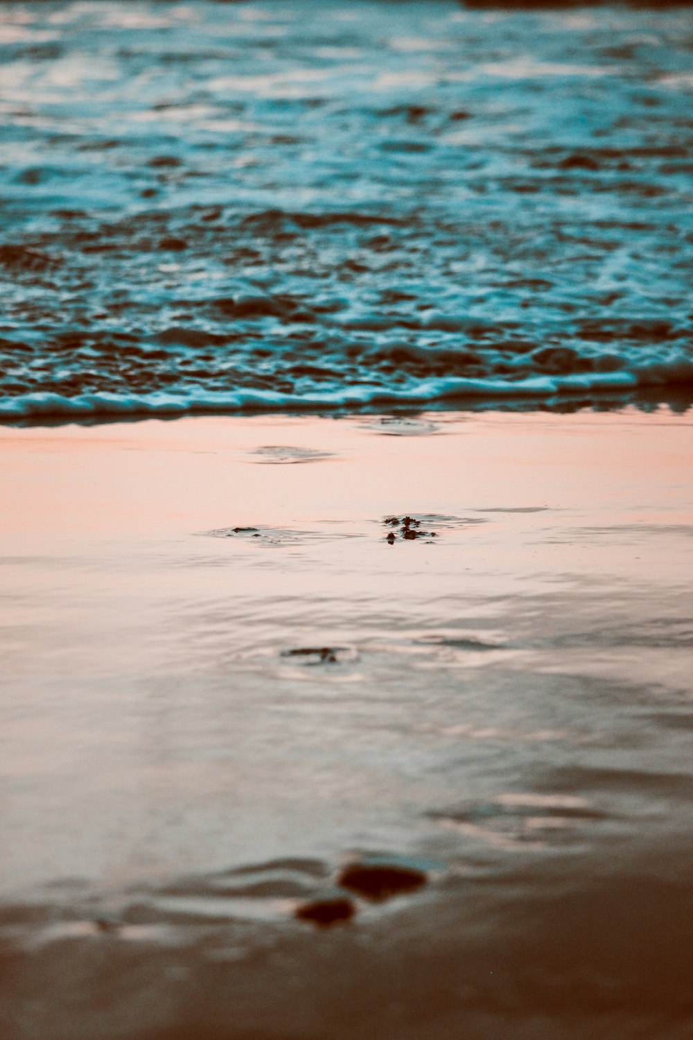 a bird is standing in the water at the beach