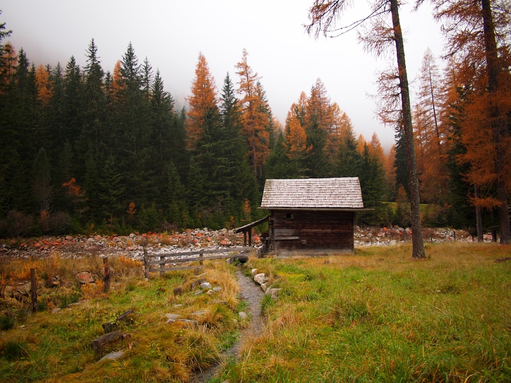 brown housed near trees