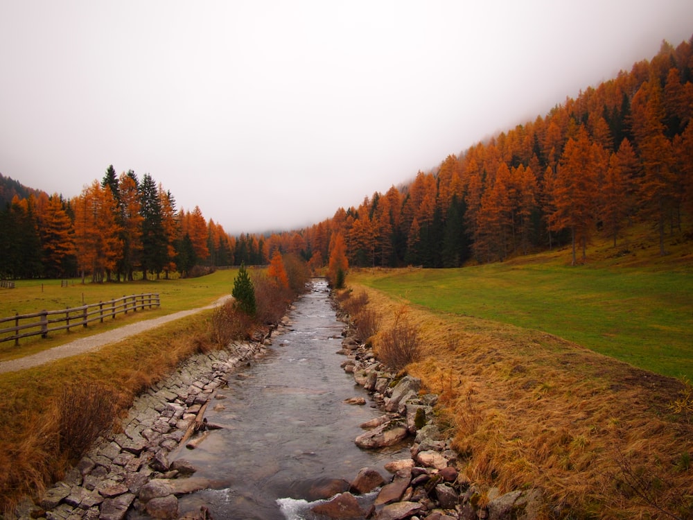 water stream beside road