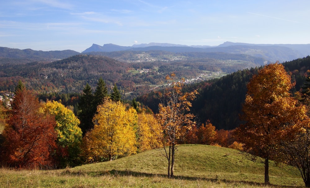 landscape photography of brown mountain ranges during daytime