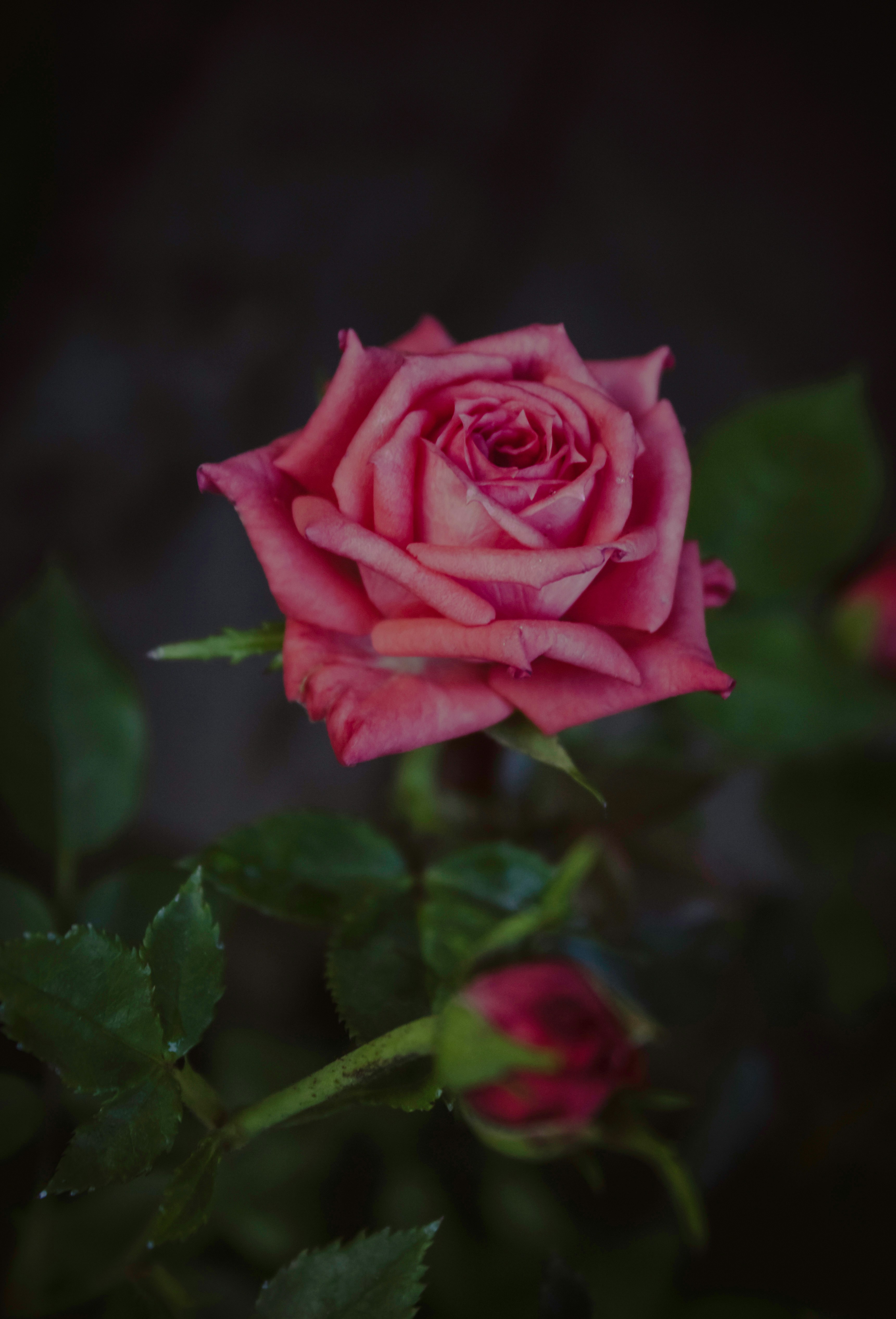 Photo by brayangarcia27