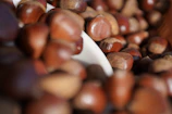 A close-up view of numerous chestnuts, with a smooth, shiny surface and a rich brown color. They are piled together, creating a natural and textured appearance, with some positioned on a curved, white ceramic surface.