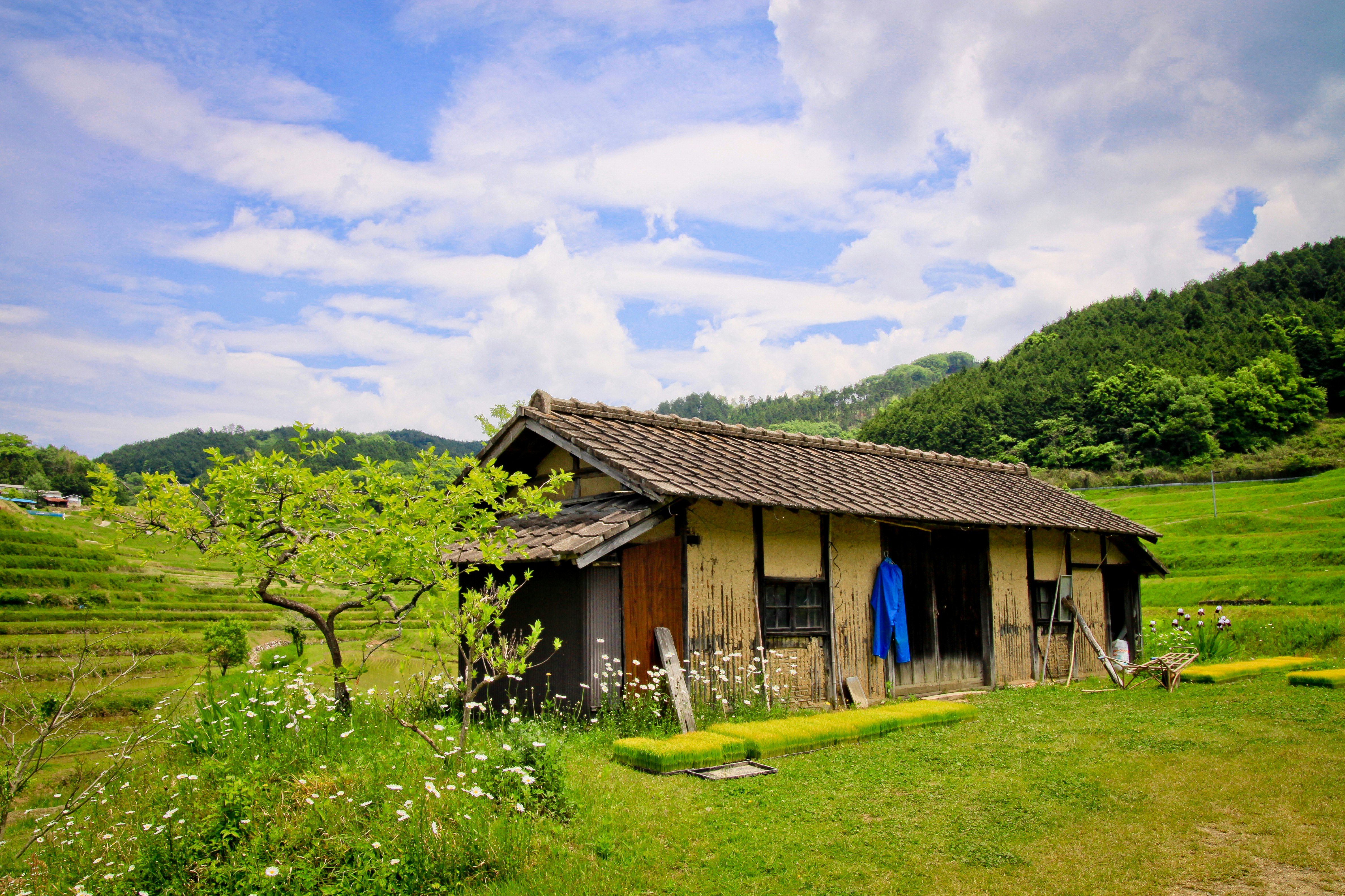 Photo by sense_photo