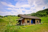 A rustic, traditional house stands amidst a lush, green landscape. The building features a wooden roof and walls, with a bright blue garment hanging outside. A tree with fresh, green leaves is seen nearby, along with an abundance of dainty white flowers. Rolling hills and forests form the backdrop under a partly cloudy sky.