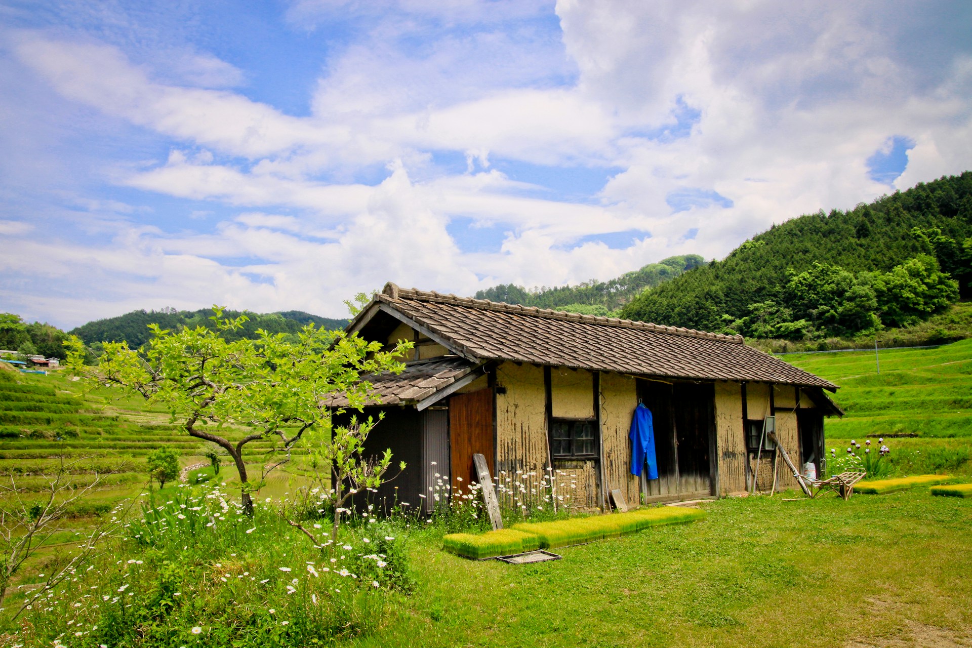 woman wearing yellow long-sleeved dress under white clouds and blue sky during daytime