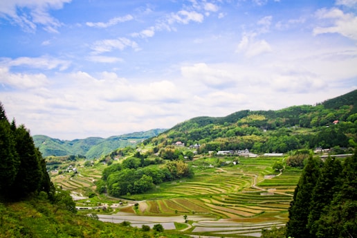 green field during daytime