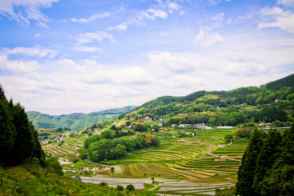 green field during daytime