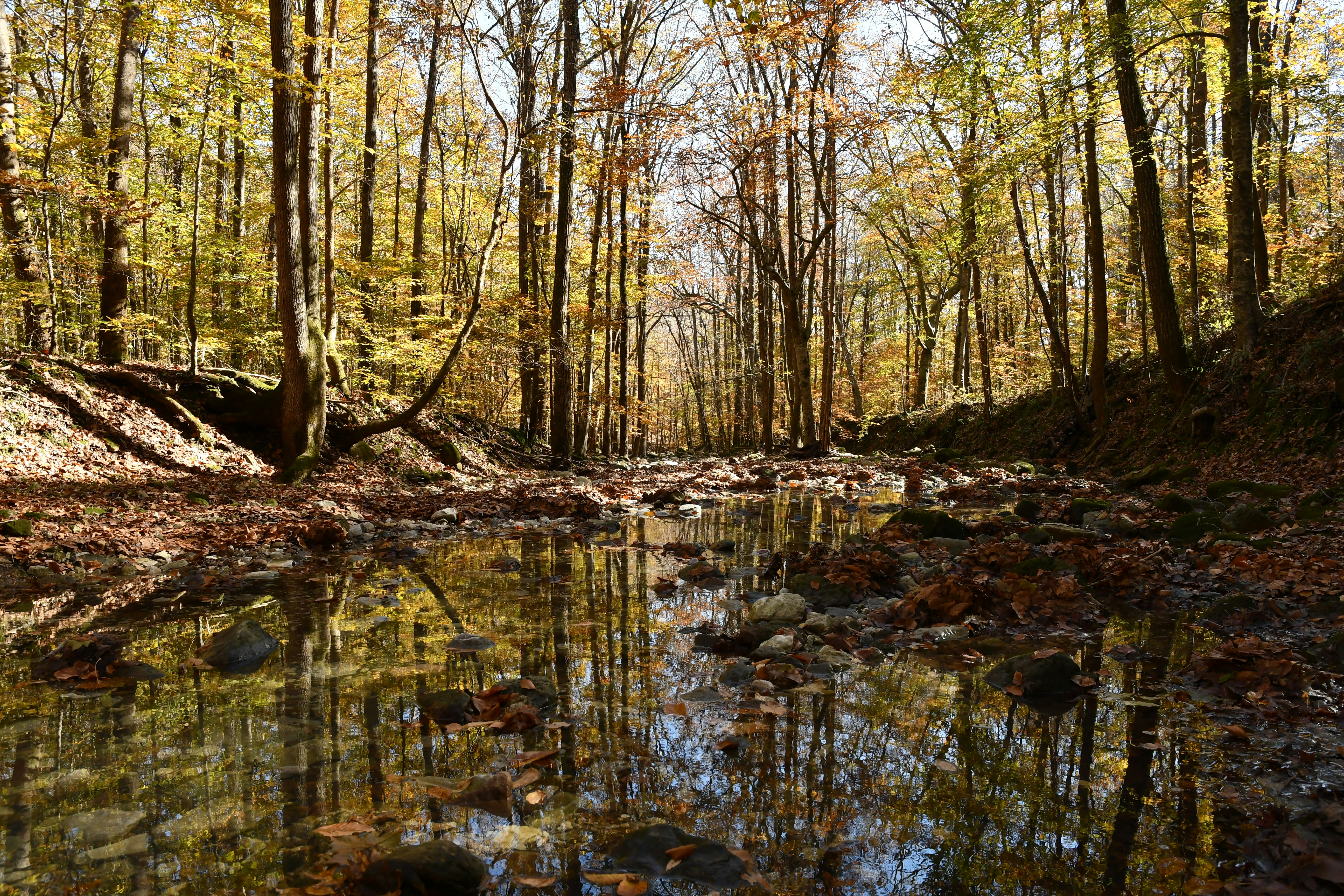 Photo by emilioborraz