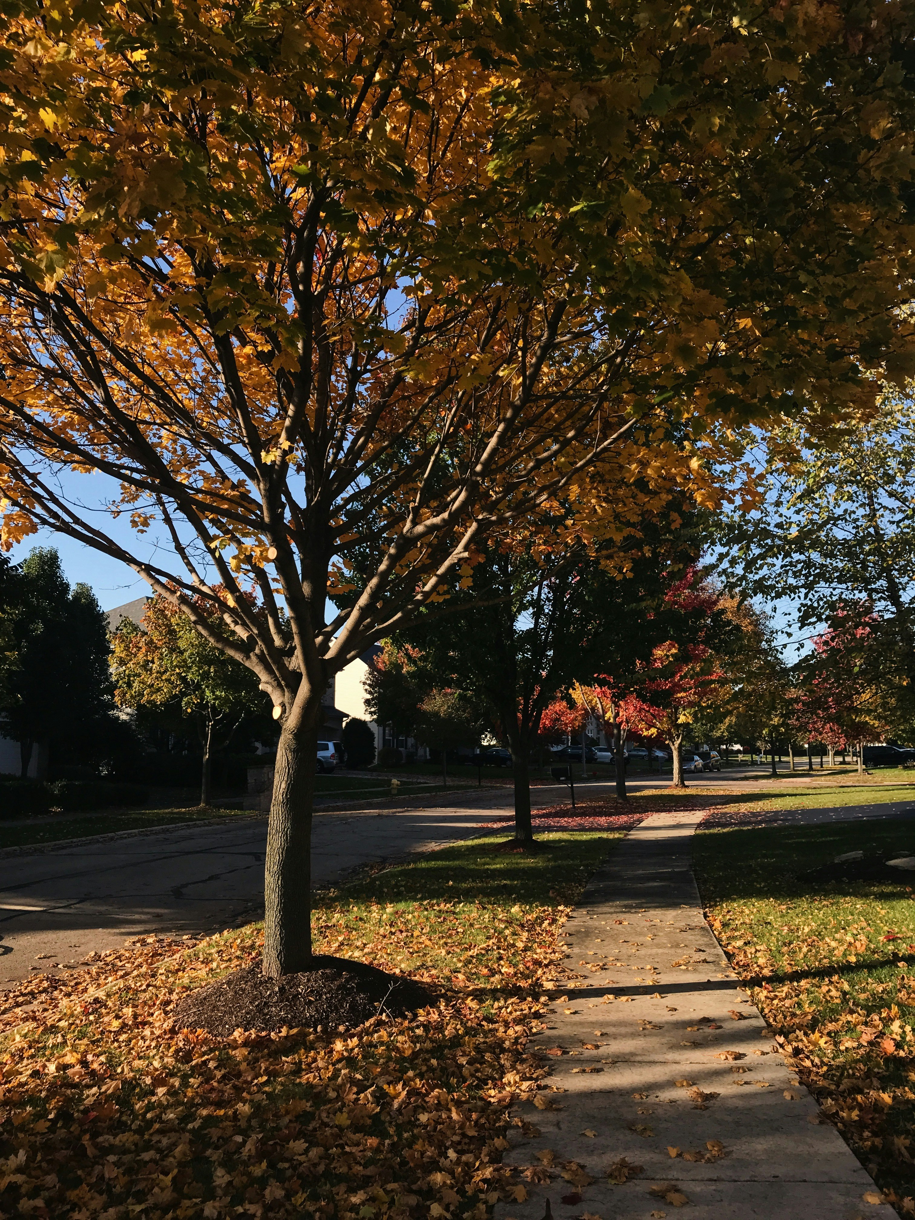 Photo by nataliehua_