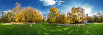 A panoramic view of Bogotá’s green parks blending with yellow autumn leaves under a clear blue sky.