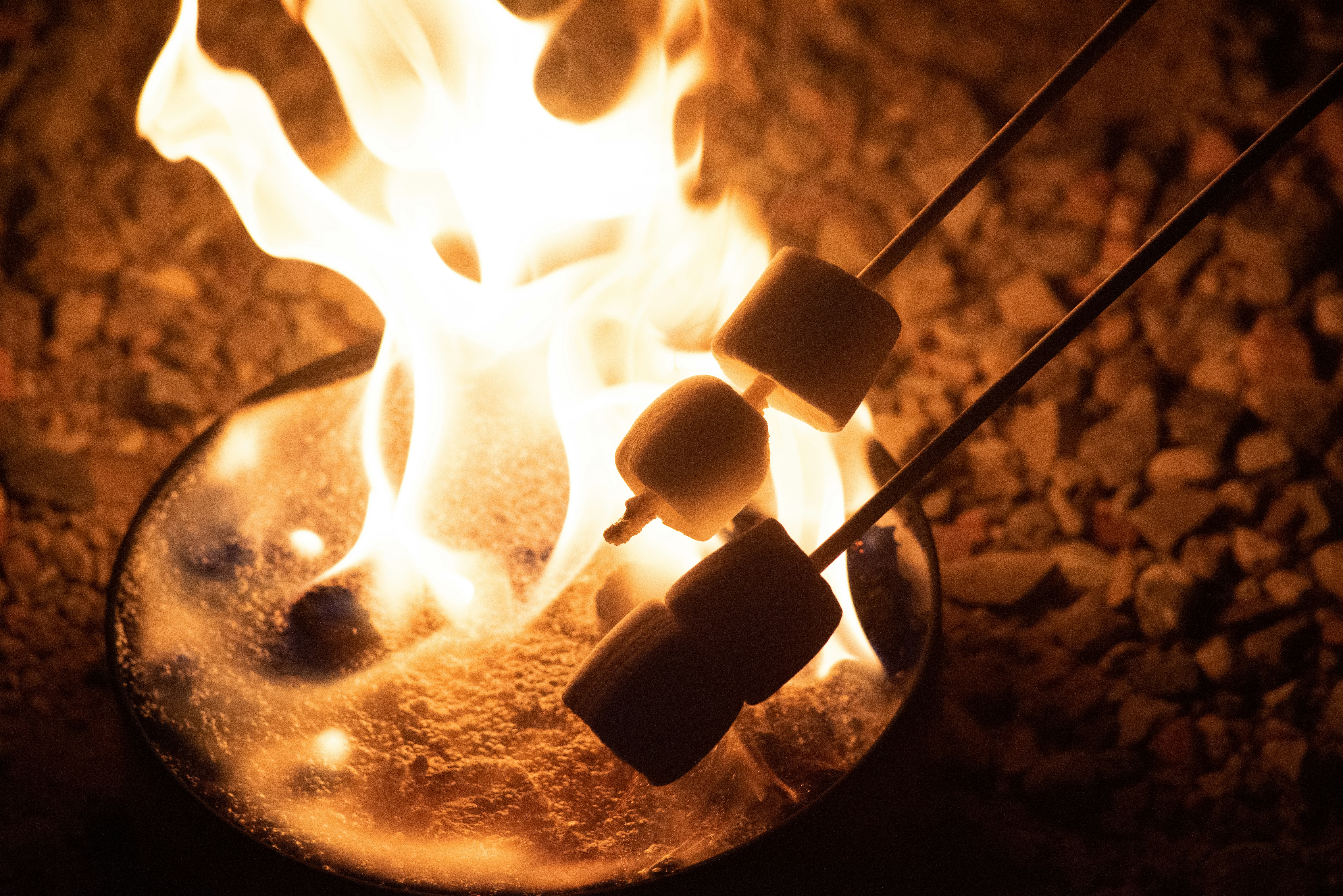 Photo by seitamaaphotography