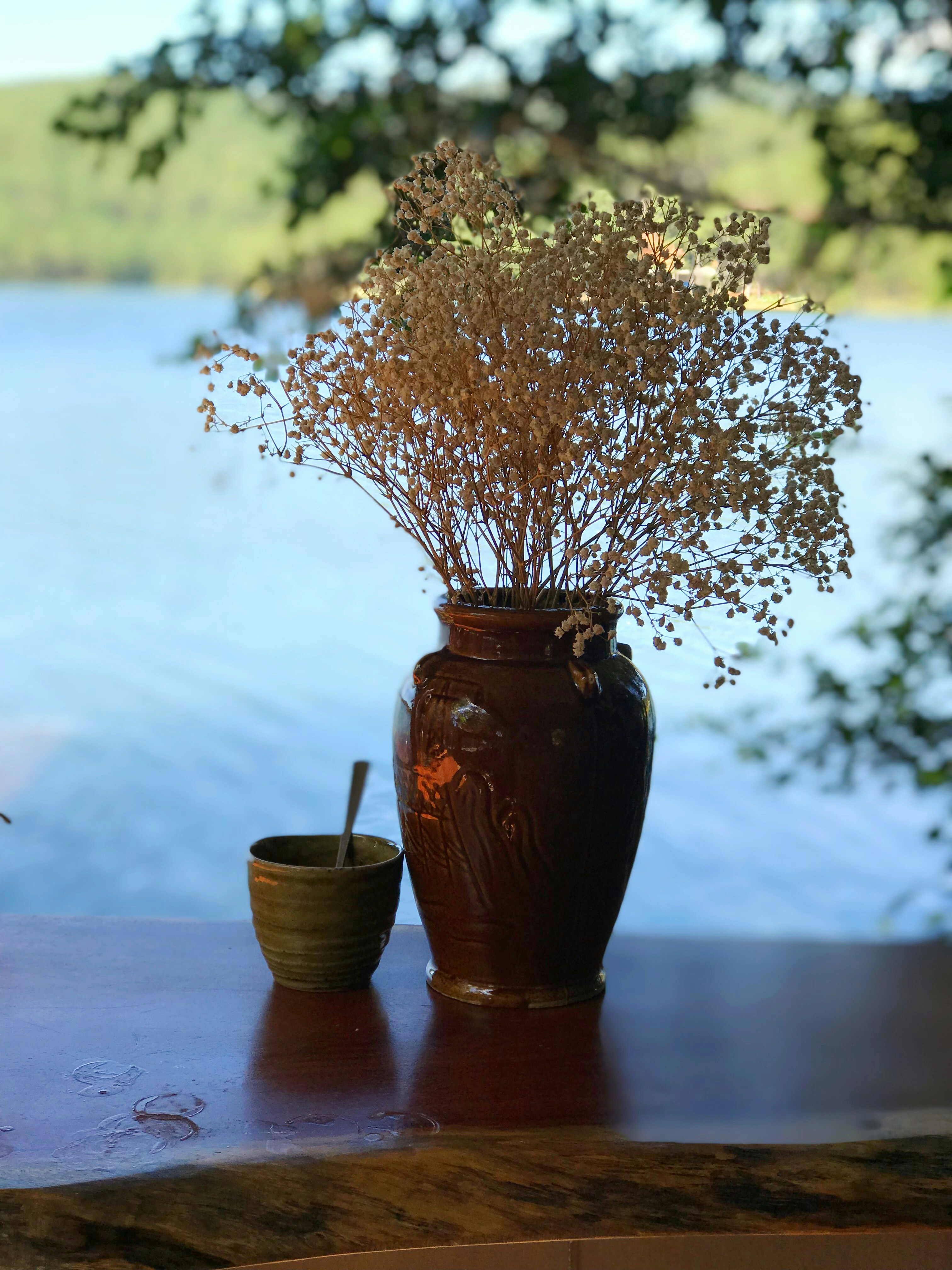 Elegant Ceramic Vase