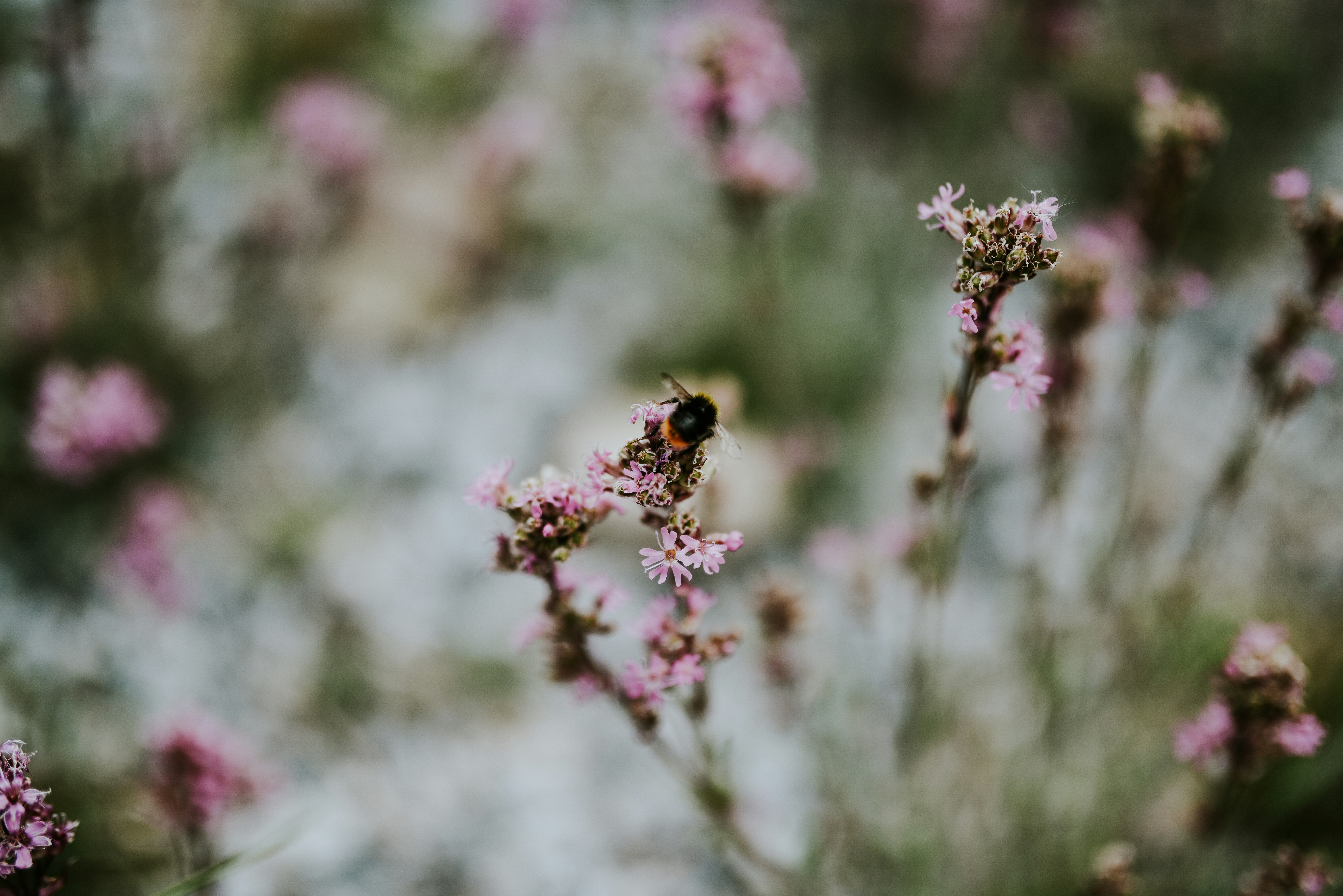 Photo by seitamaaphotography