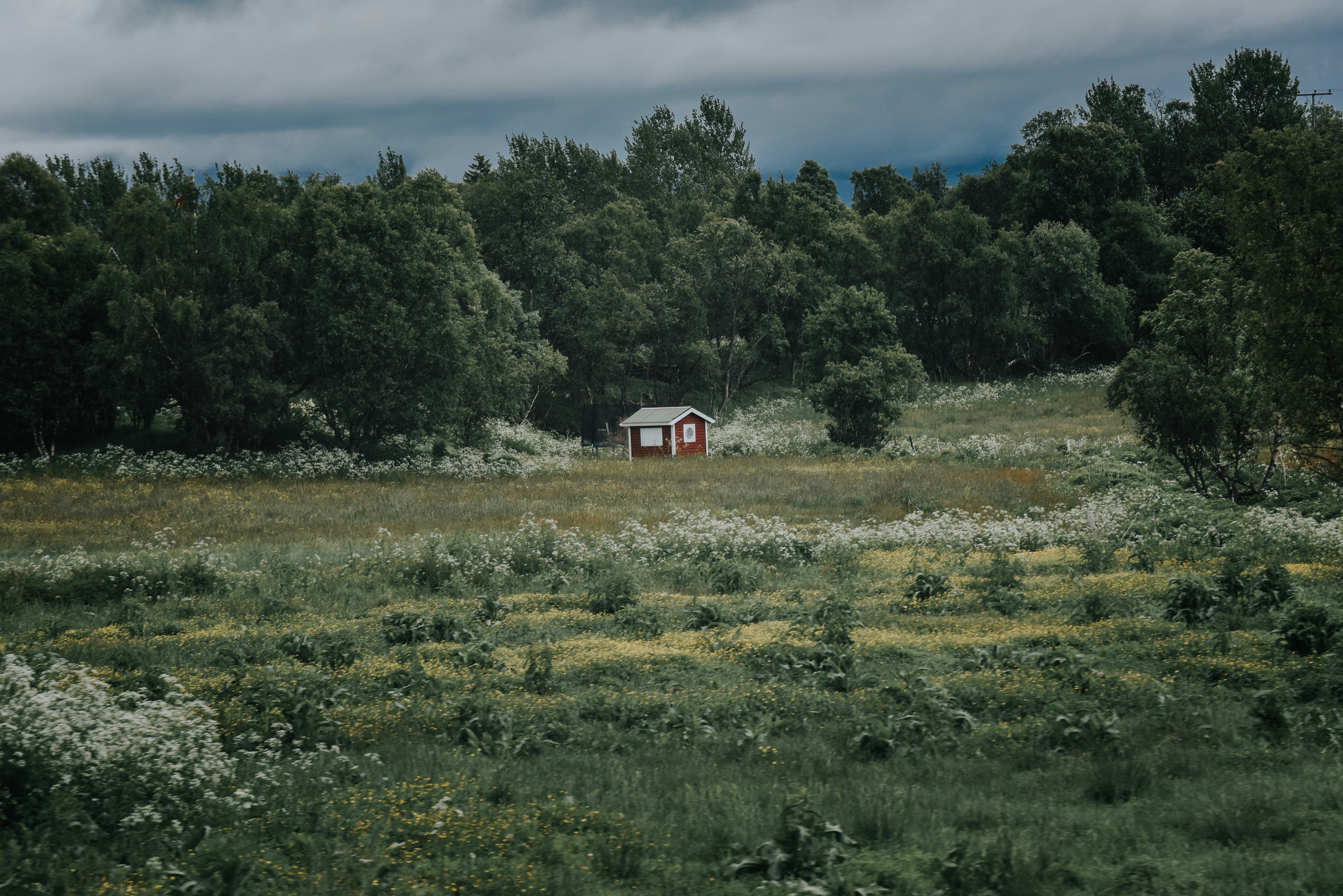 Photo by seitamaaphotography