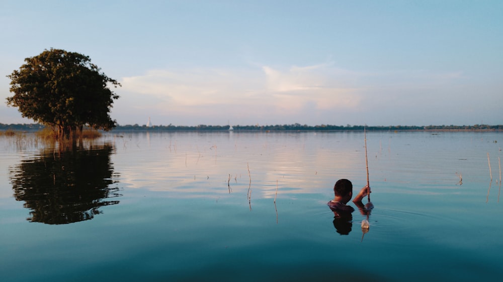 person in water near tree