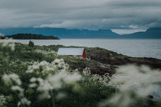 A small red cottage sits on a rocky shoreline surrounded by lush green vegetation and white wildflowers. The background features a large body of water with misty mountains under an overcast sky.