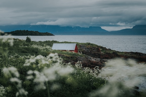 A small red cottage sits on a rocky shoreline surrounded by lush green vegetation and white wildflowers. The background features a large body of water with misty mountains under an overcast sky.