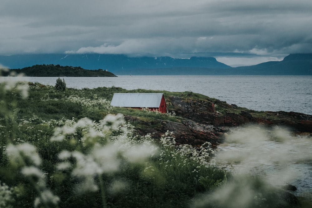 white and red wooden house near body of water during daytime