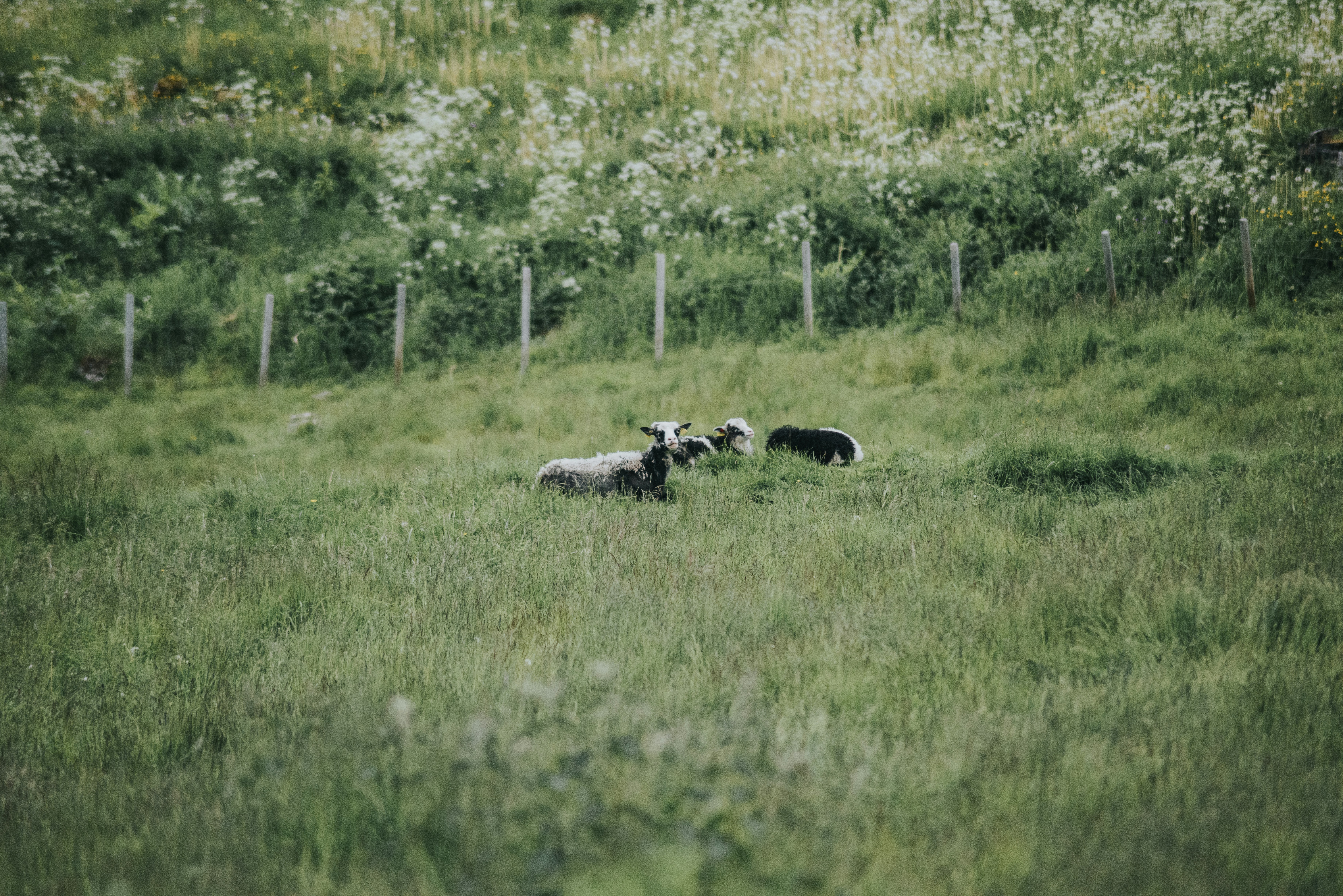 Photo by seitamaaphotography