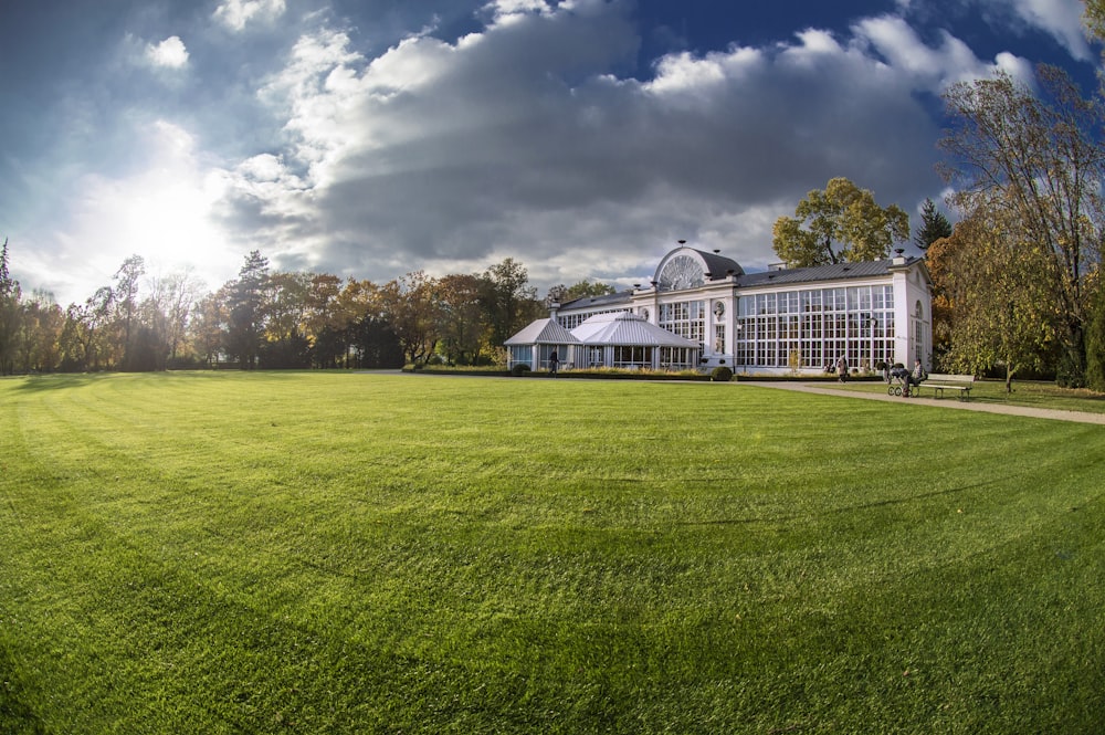 green grass field near trees under white clouds