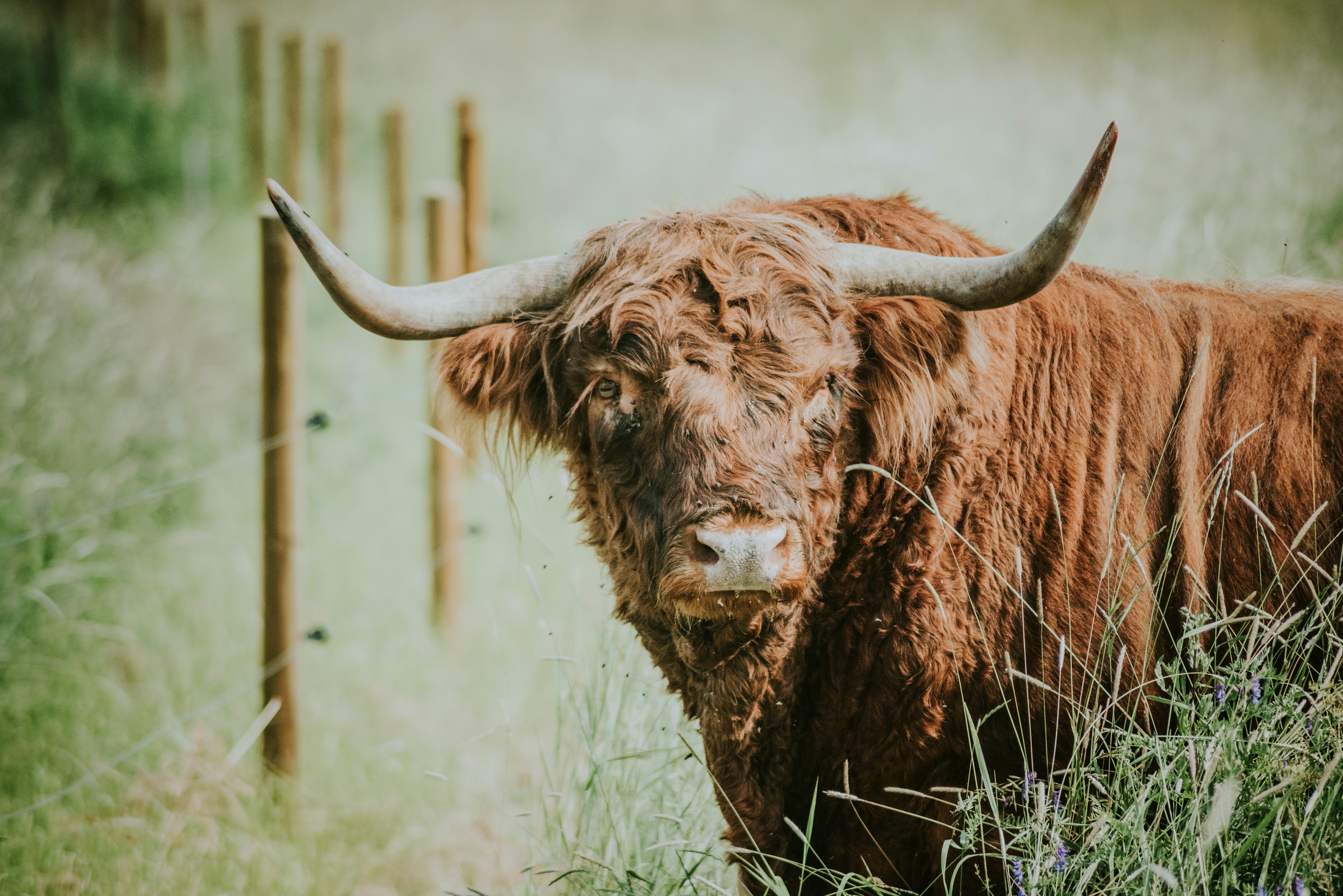 Photo by seitamaaphotography