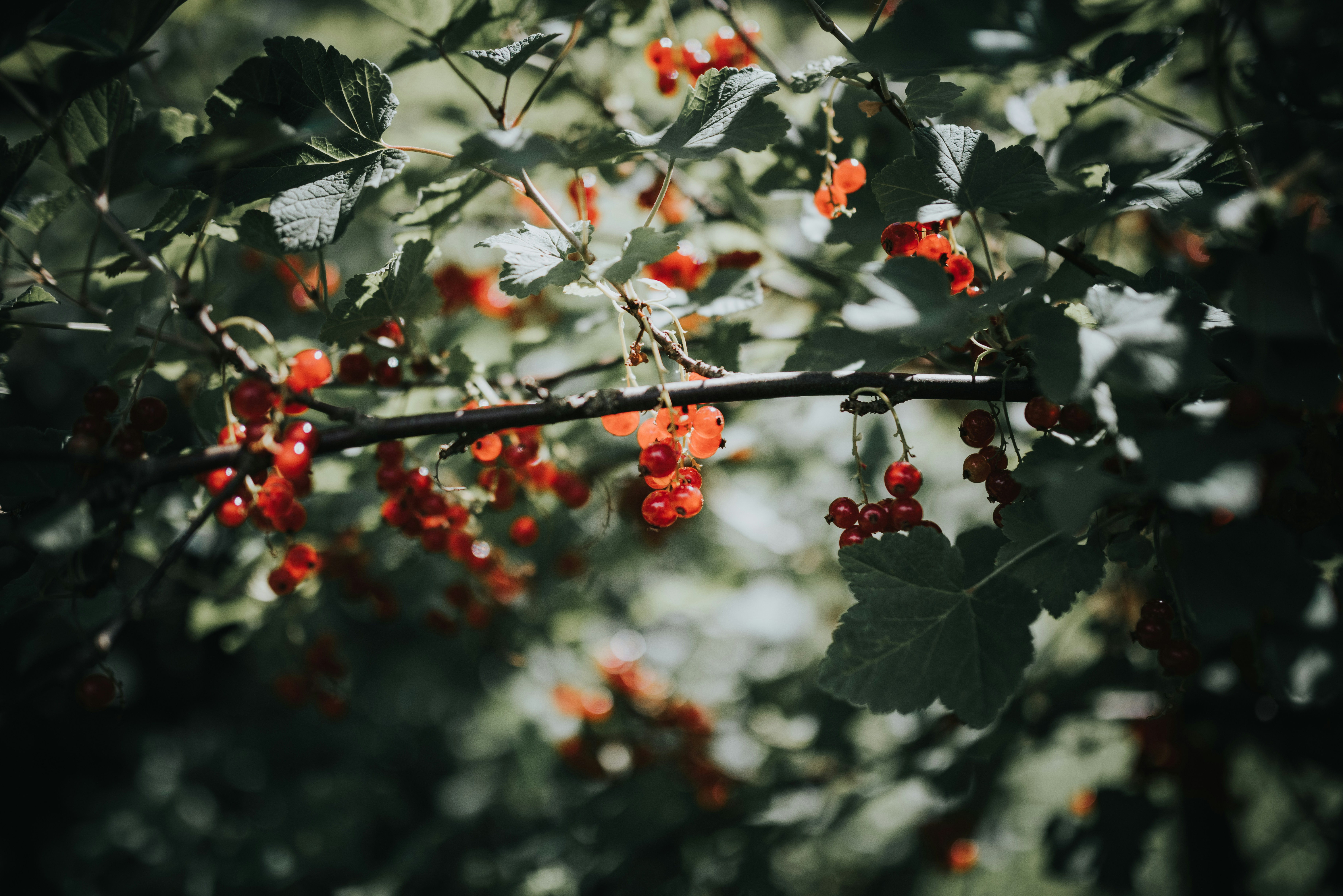 Photo by seitamaaphotography