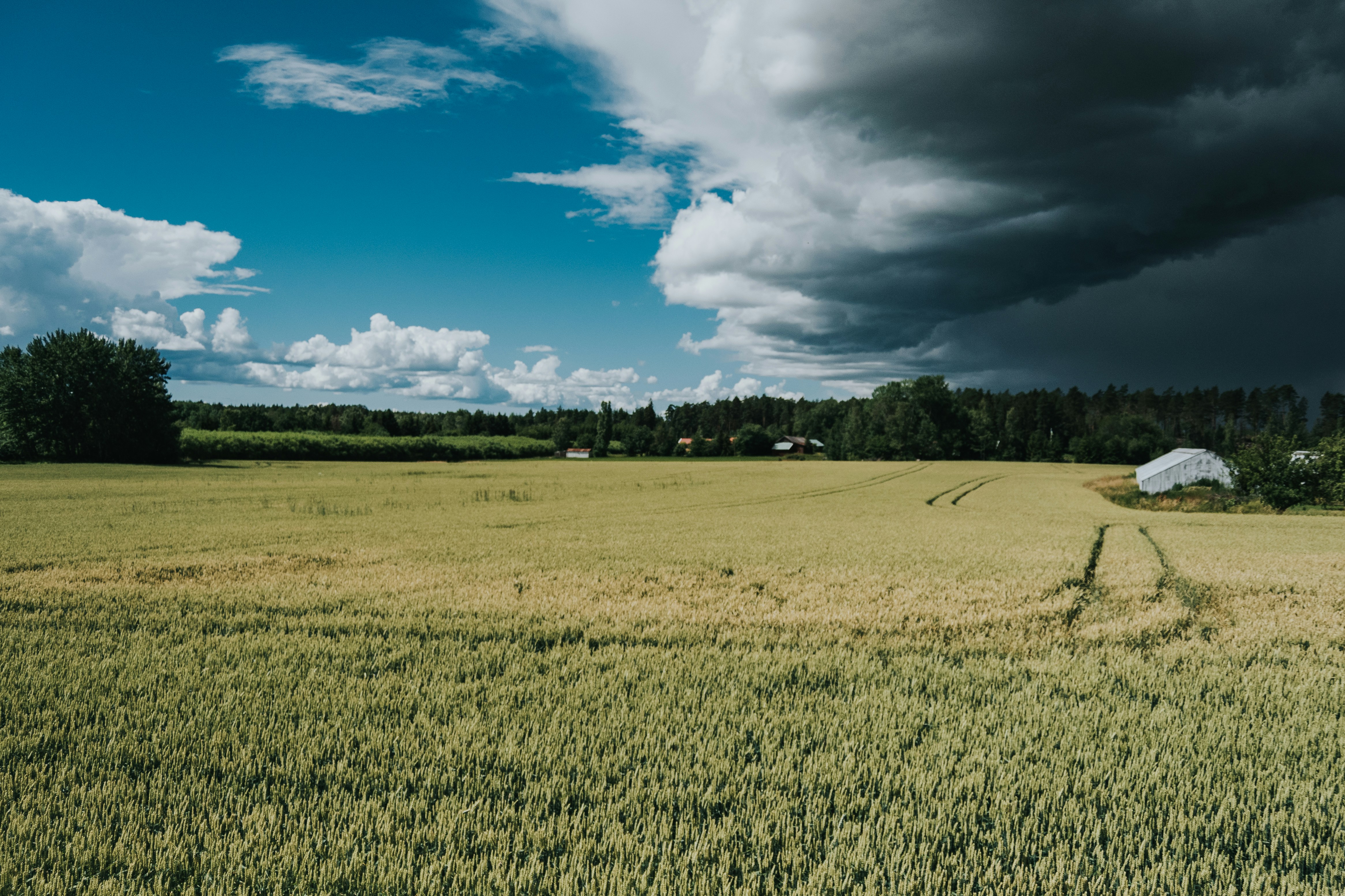 Photo by seitamaaphotography