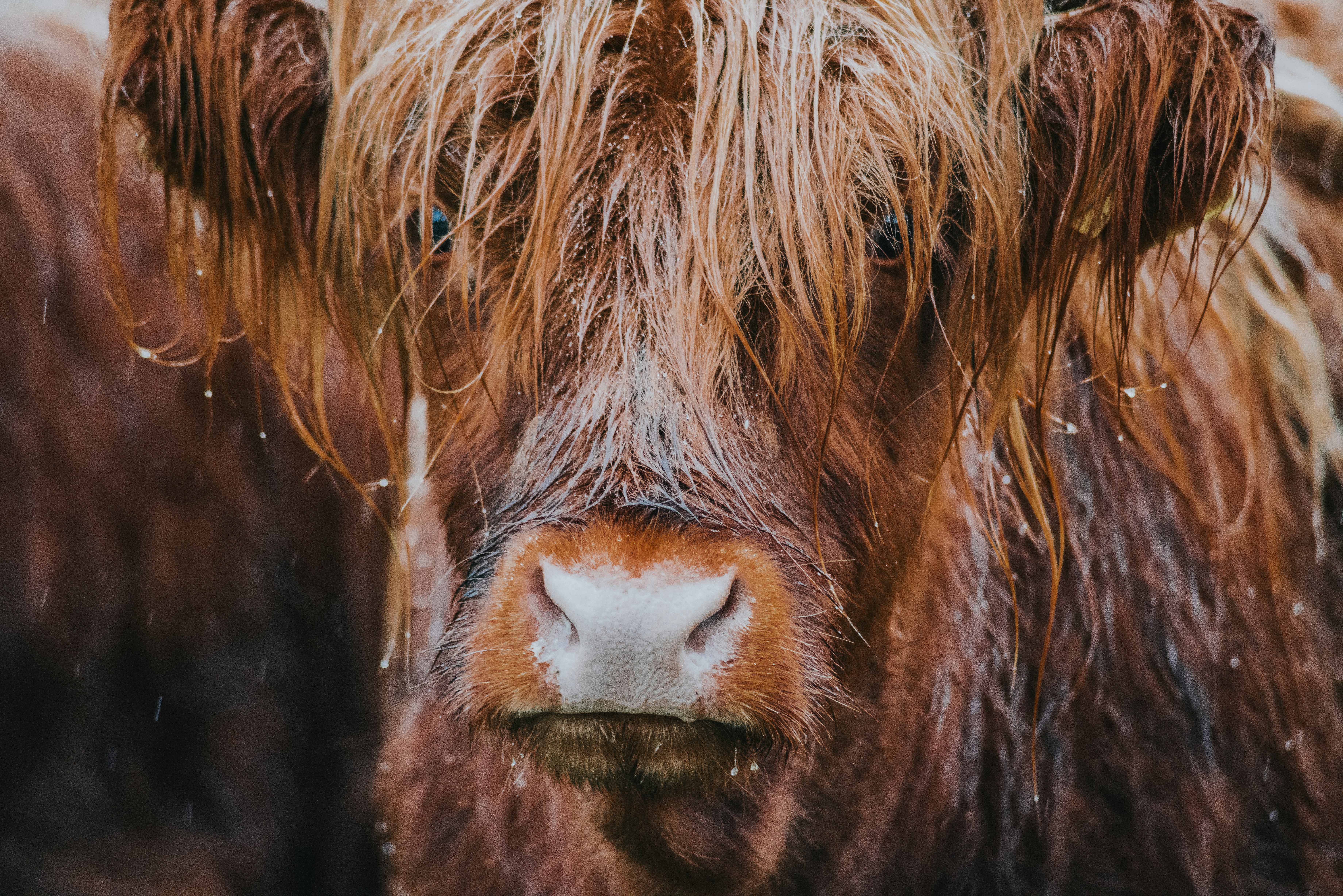 Photo by seitamaaphotography