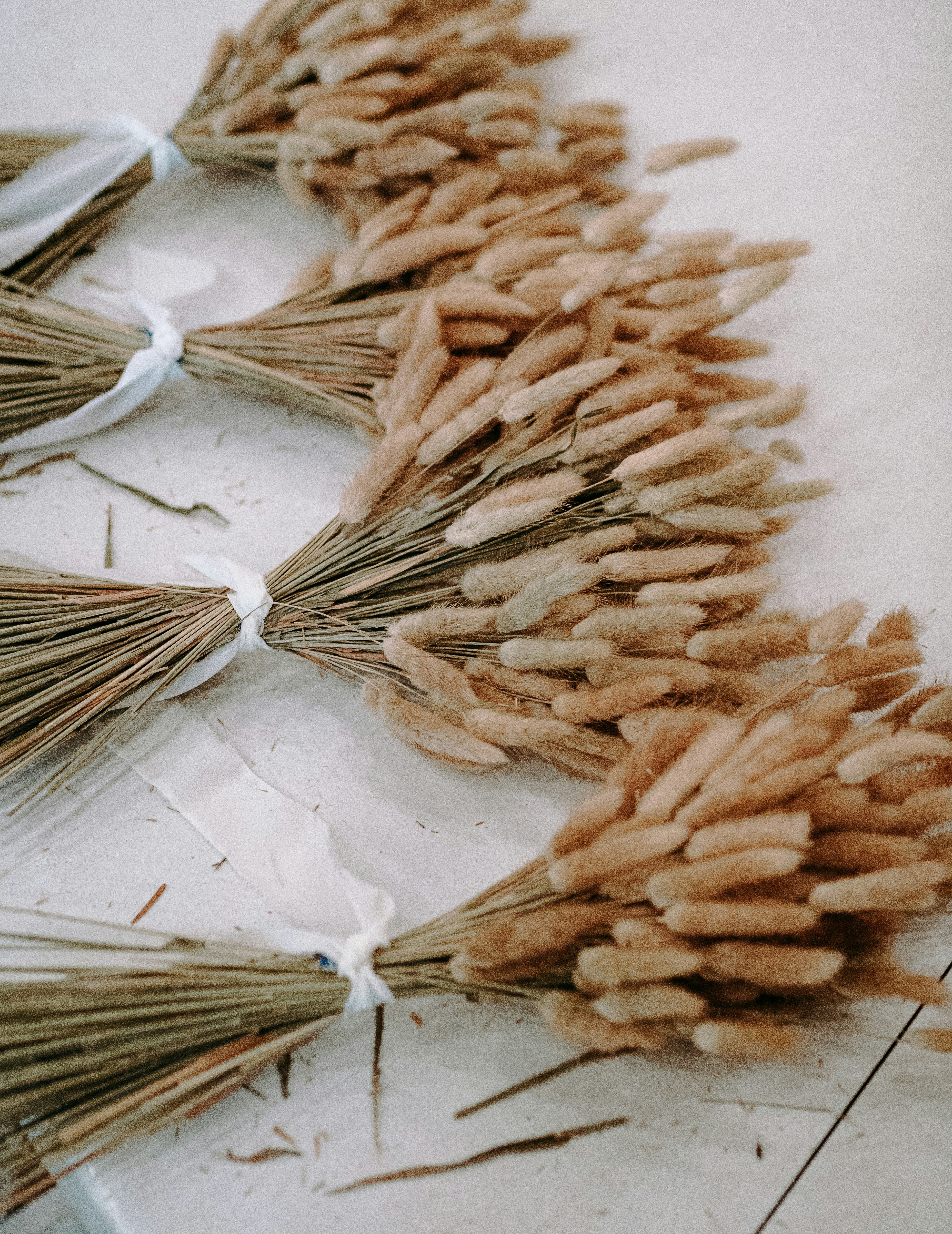 Photo by seitamaaphotography