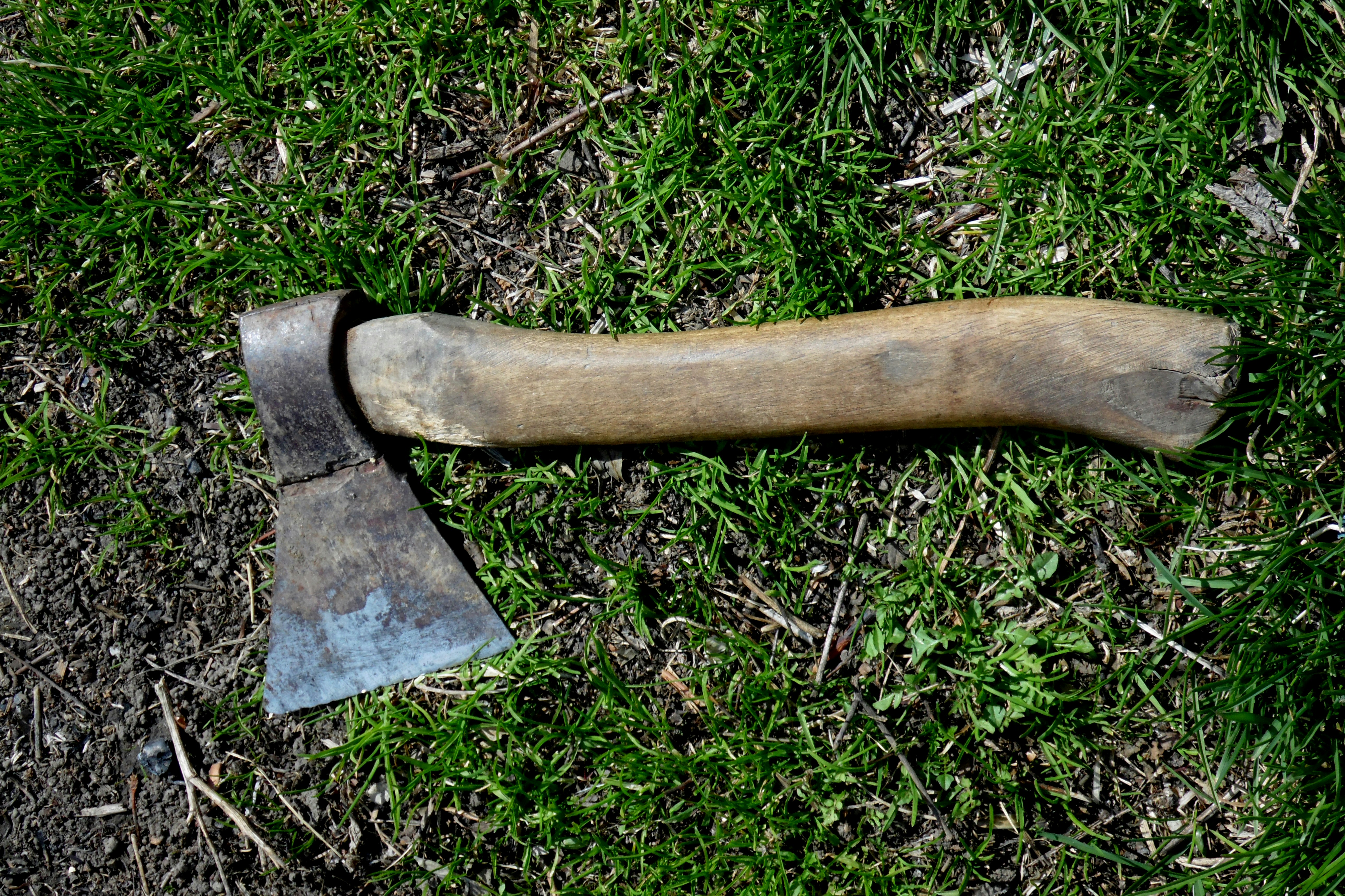 photo 1573367692483 305a37957d66?ixlib=rb 4.0