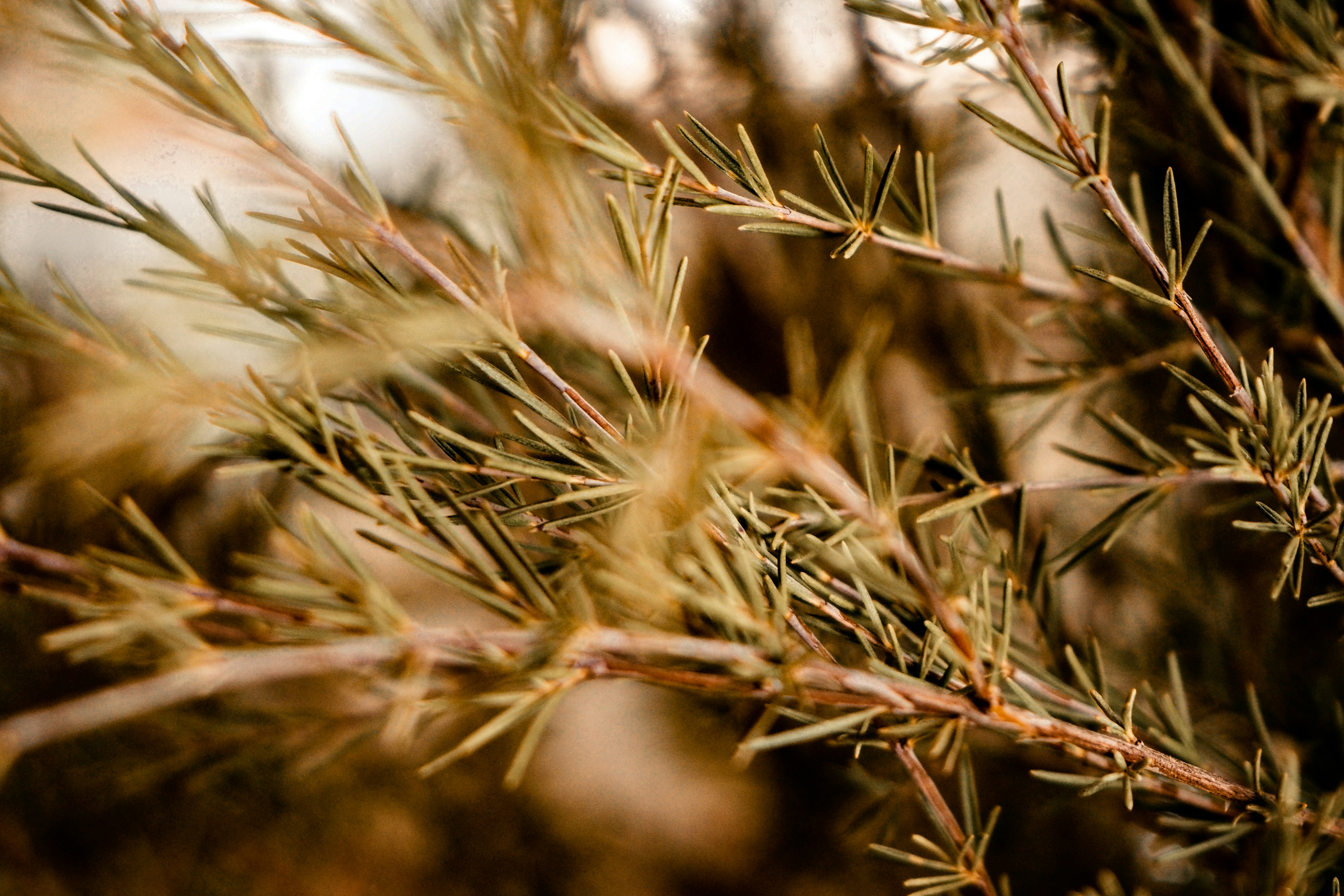 Photo by winatristiana