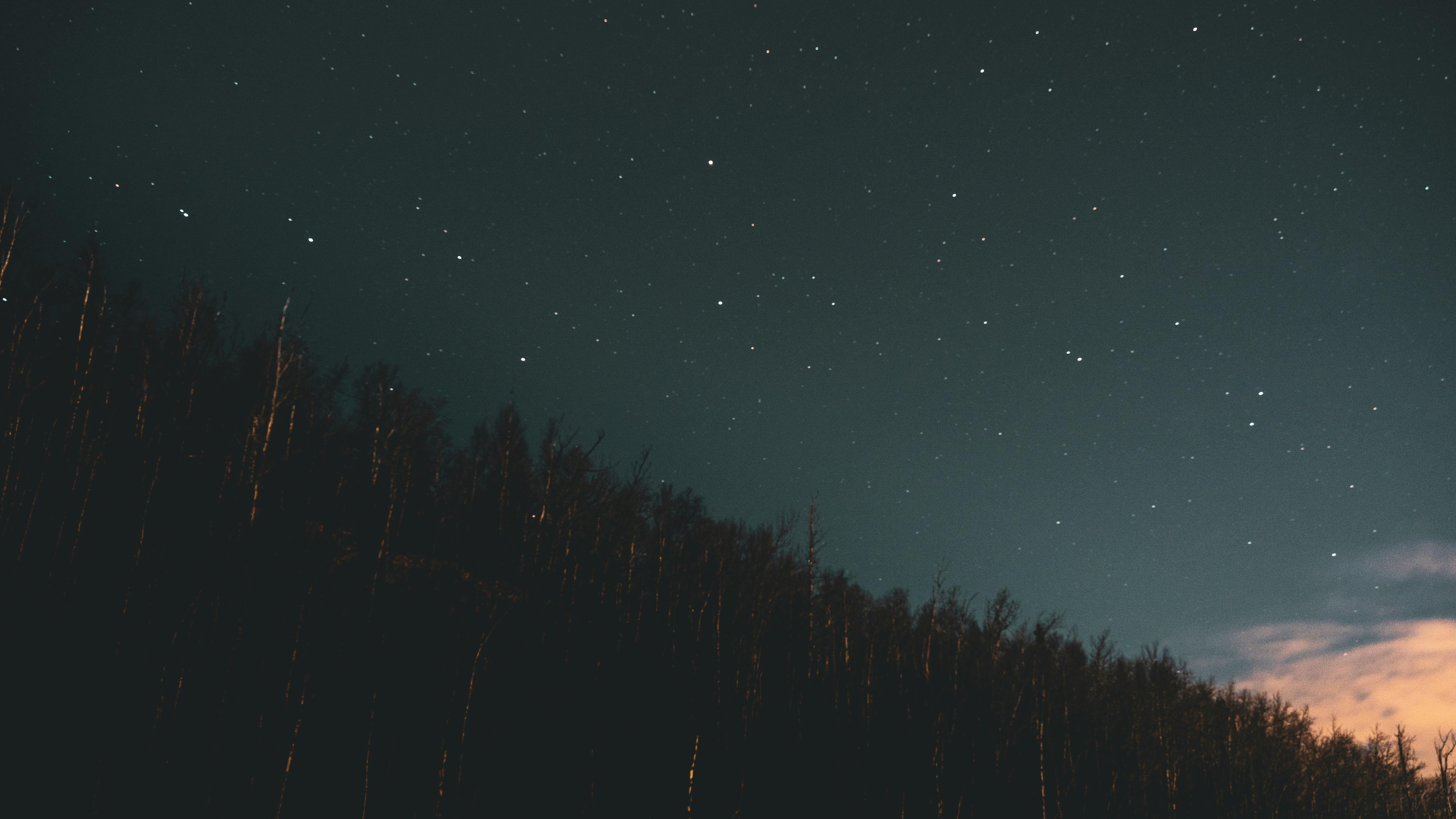 Photo by jaron_mobley