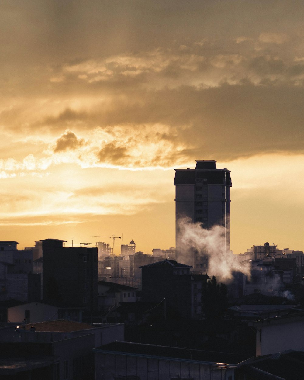 view photography of buildings during dawn