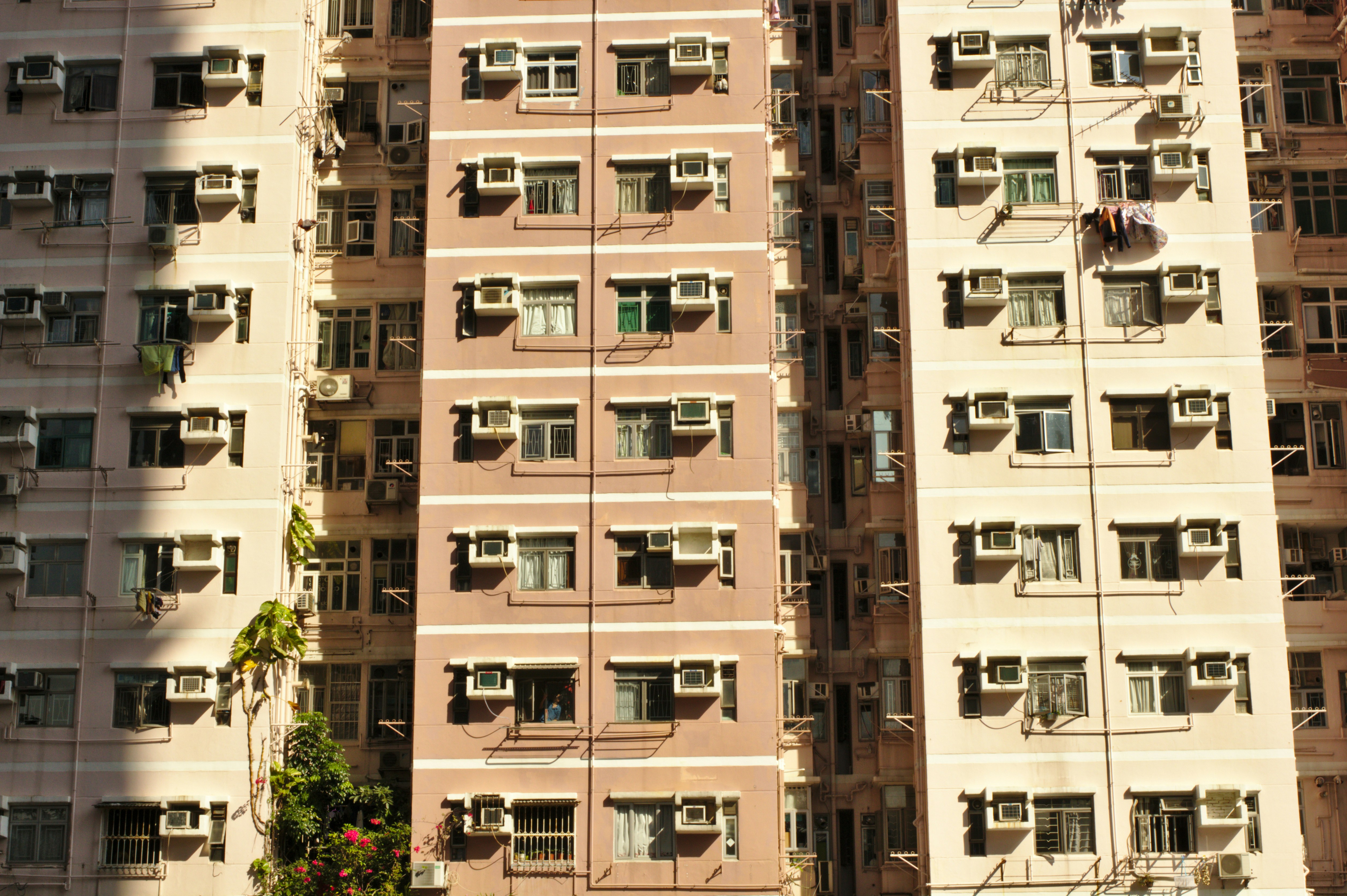 brown buildings during daytime
