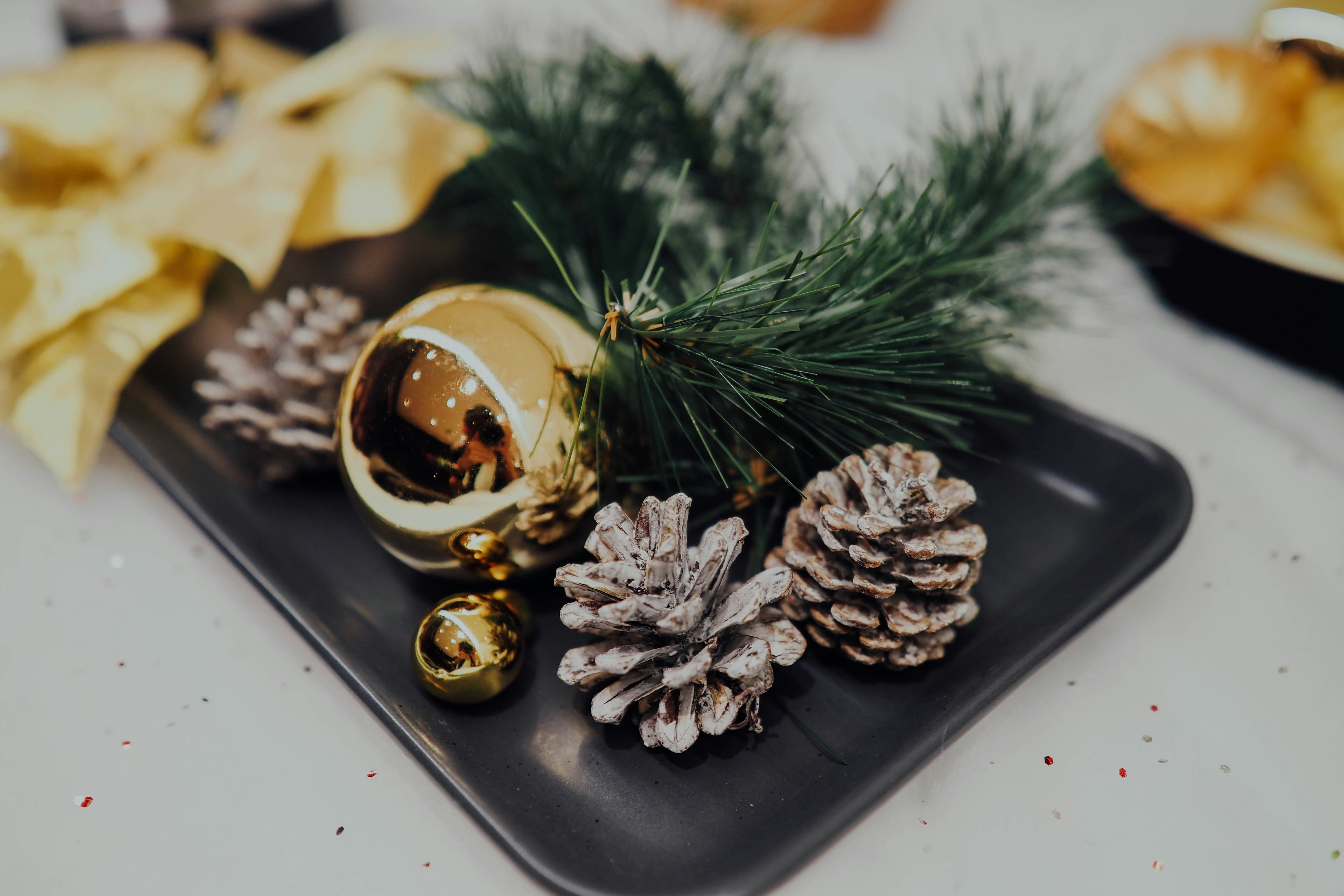 Photo by chuttersnap