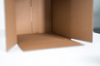 Close-up of hands unboxing a kitchen gadget with soft natural lighting.