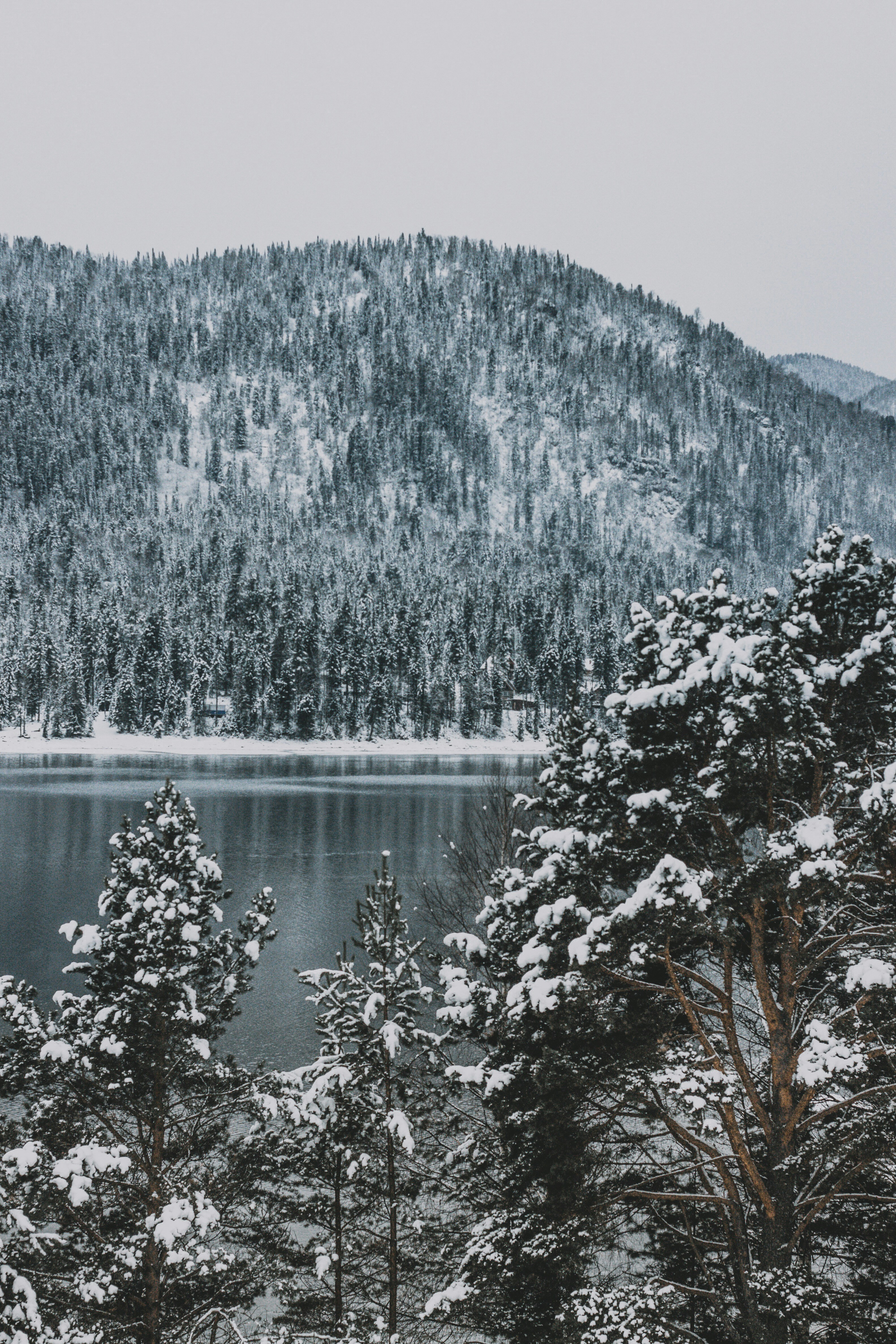 Photo by rolig_basseng