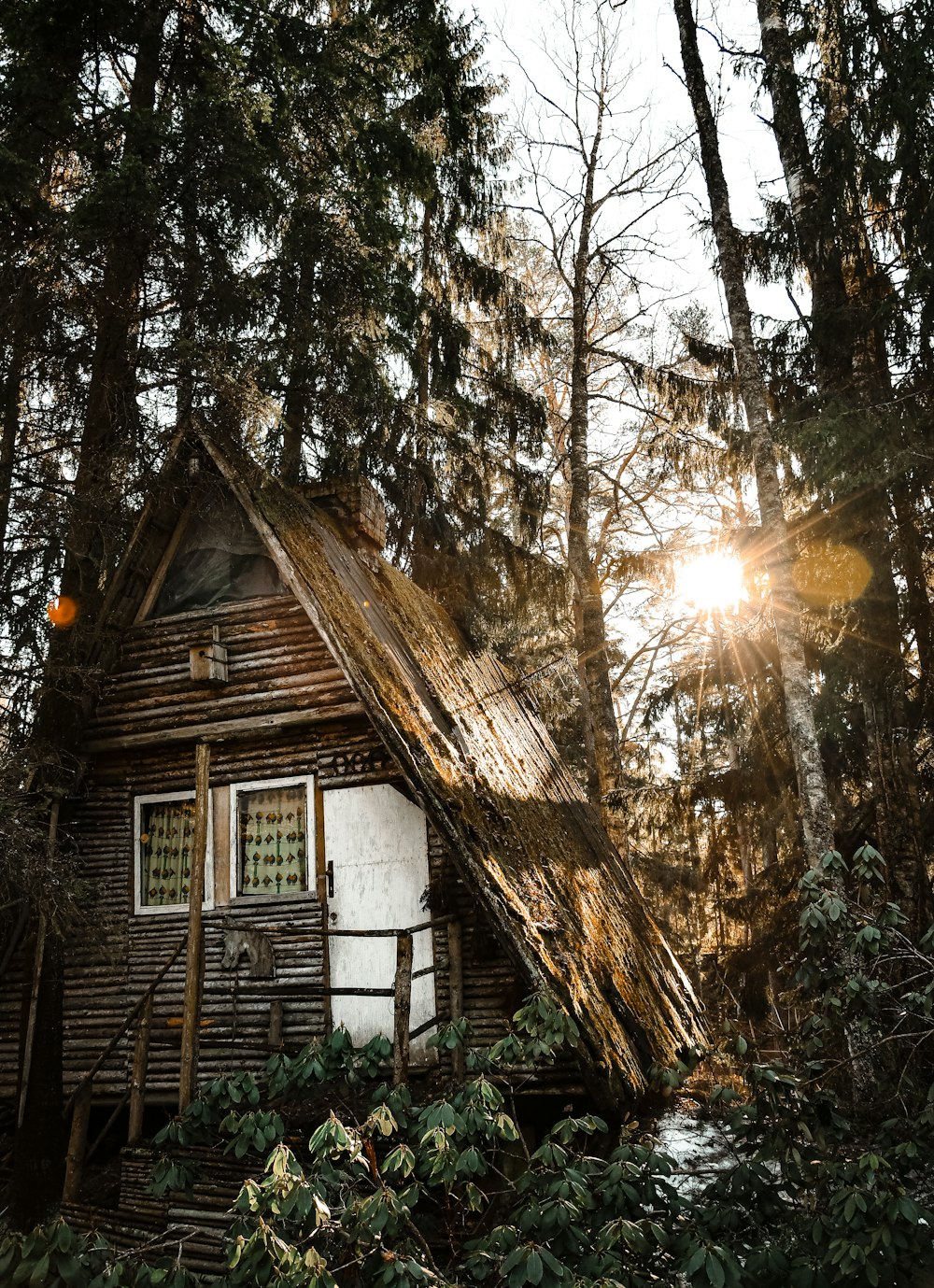 brown barn surrounded by trees