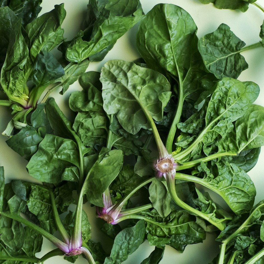 green leafy vegetables with vitamin b9