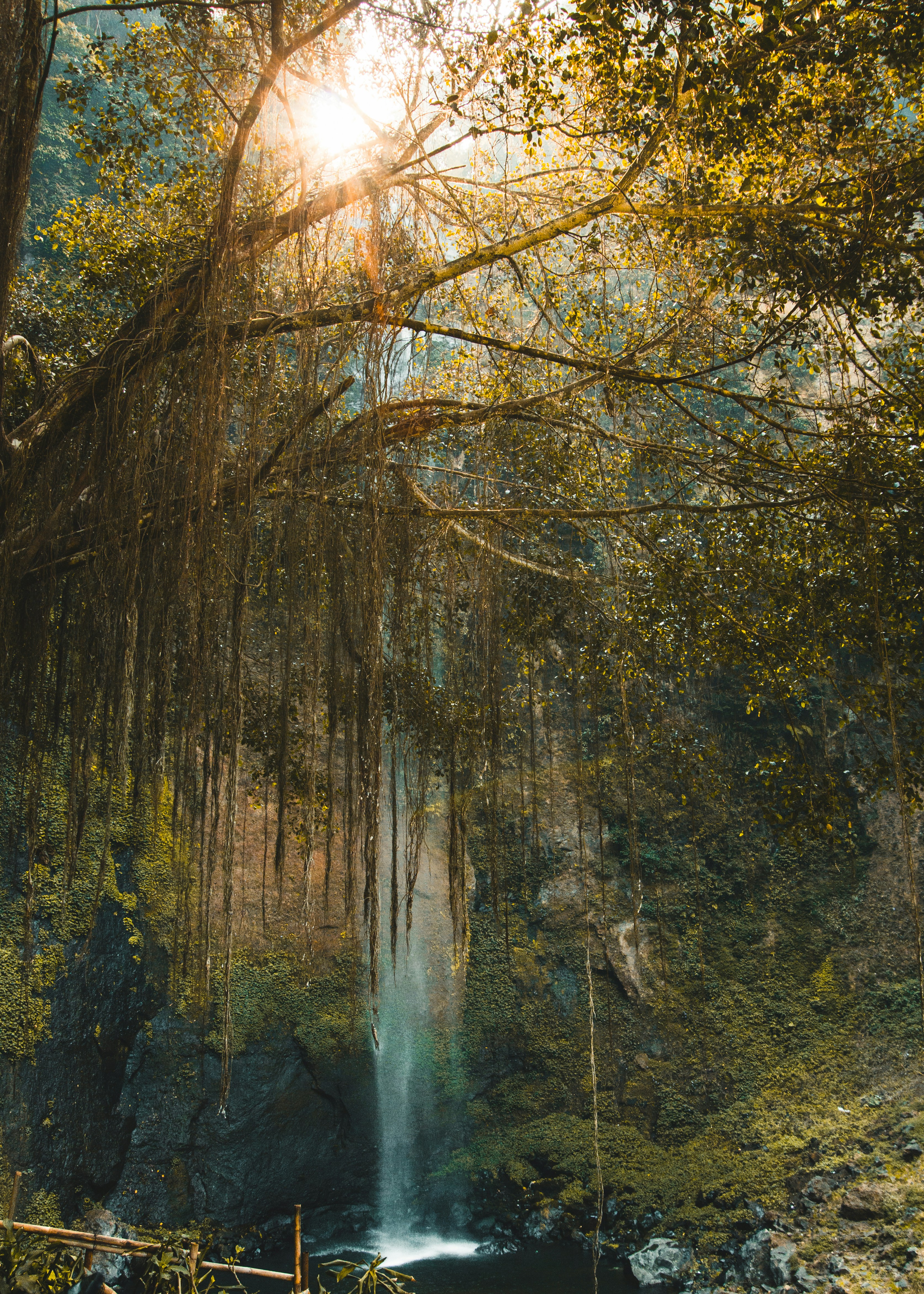 Photo by ekarizal_fikri