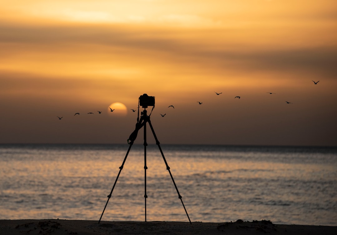 tripod at beach