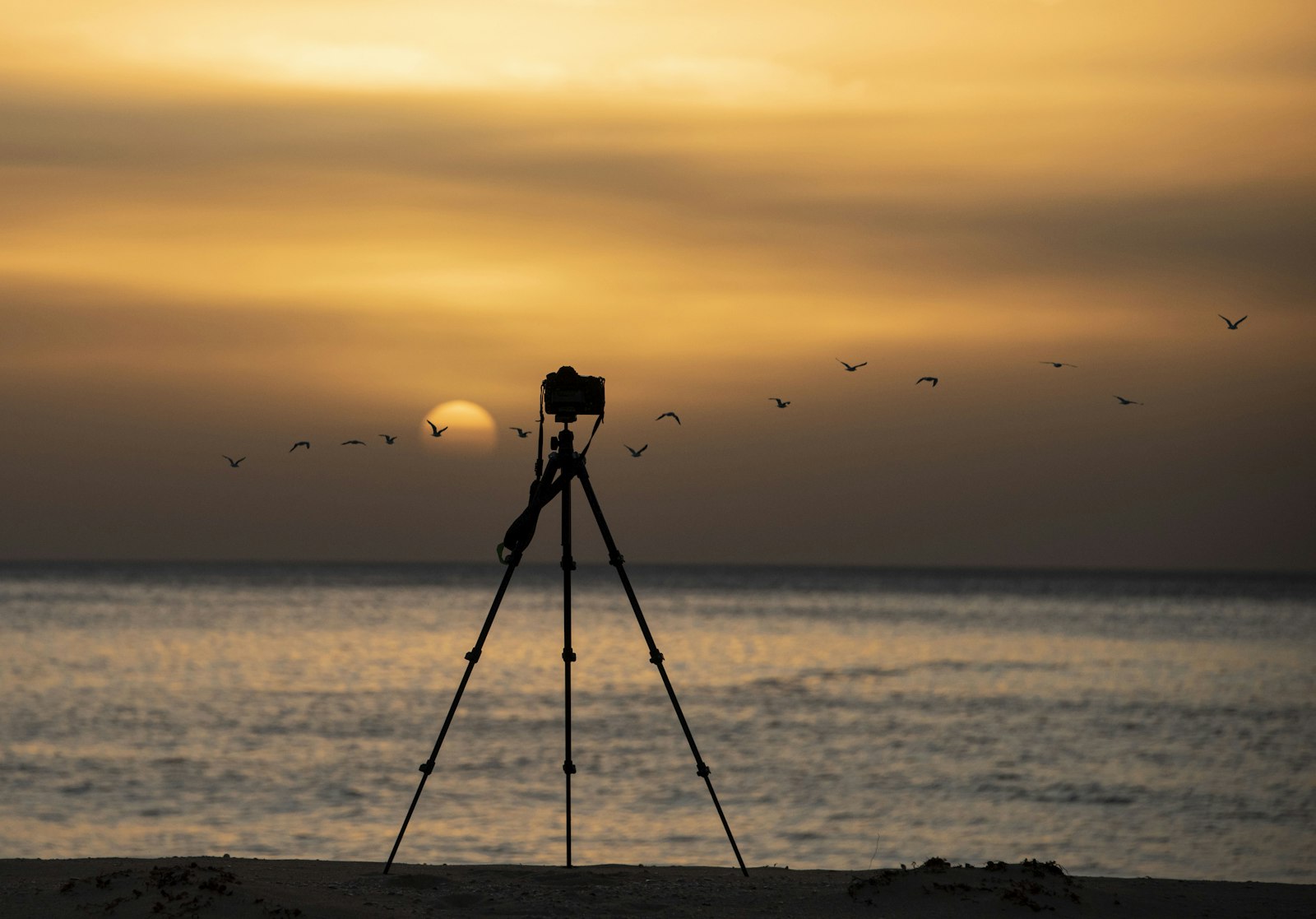 Nikon D810 + Nikon AF-S Nikkor 28-300mm F3.5-5.6G ED VR sample photo. Tripod at beach photography