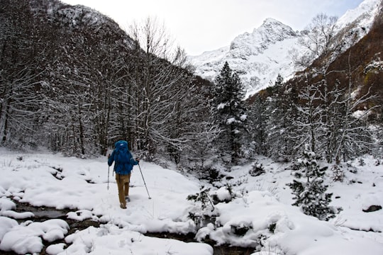 Refuge d'en Beys things to do in Font Romeu