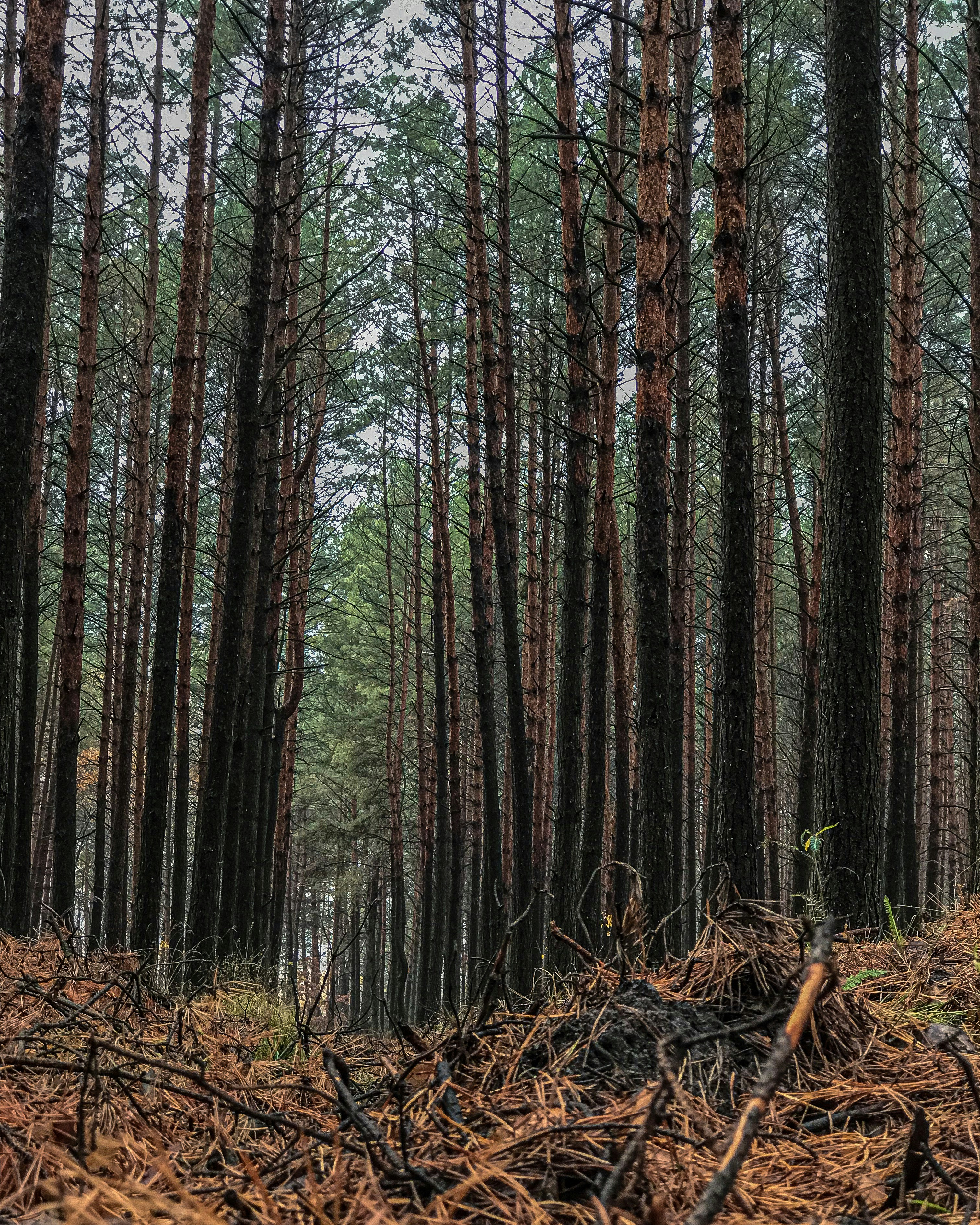 Photo by polishchuk_olha