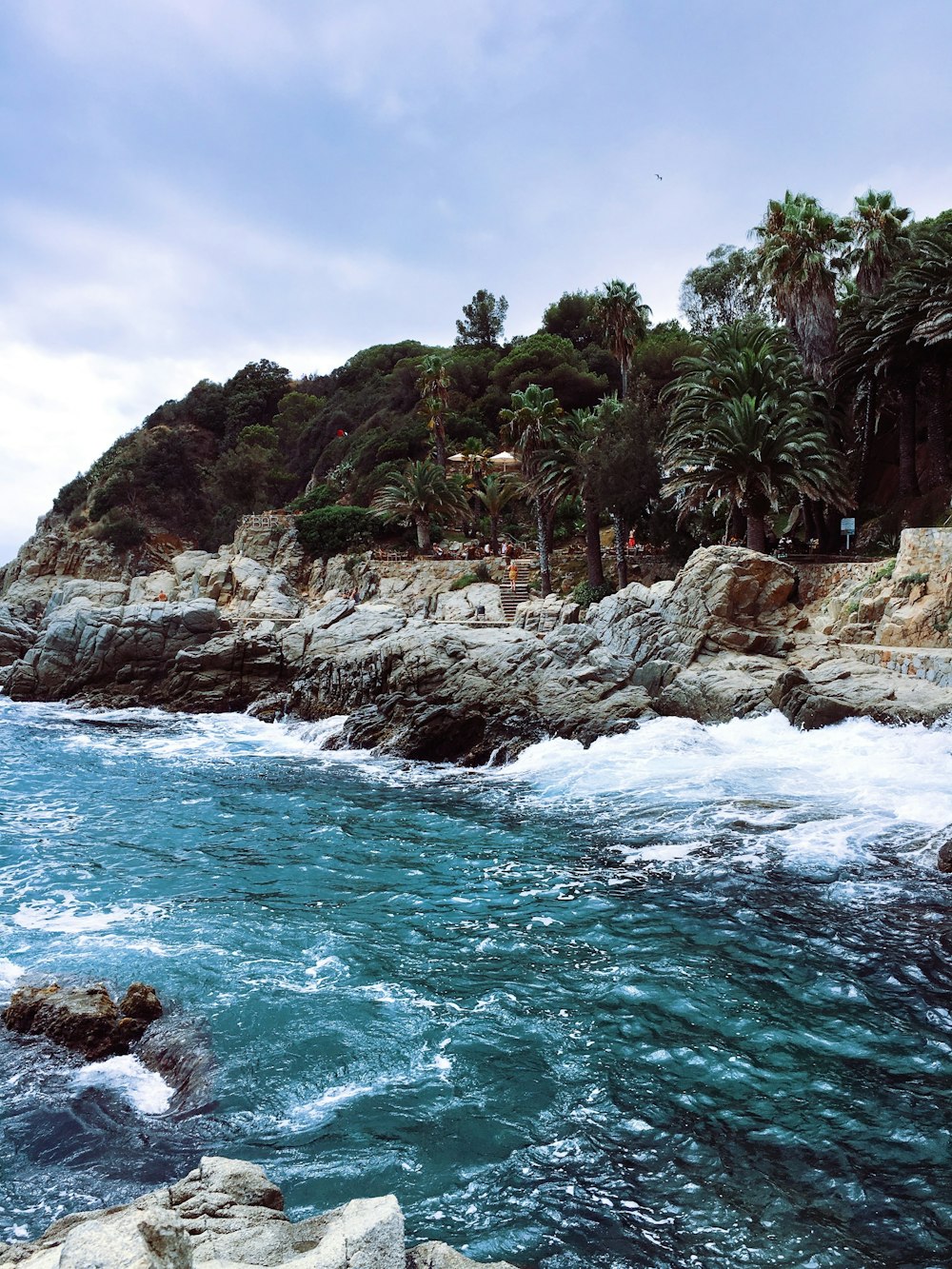 view photography of shore during daytime