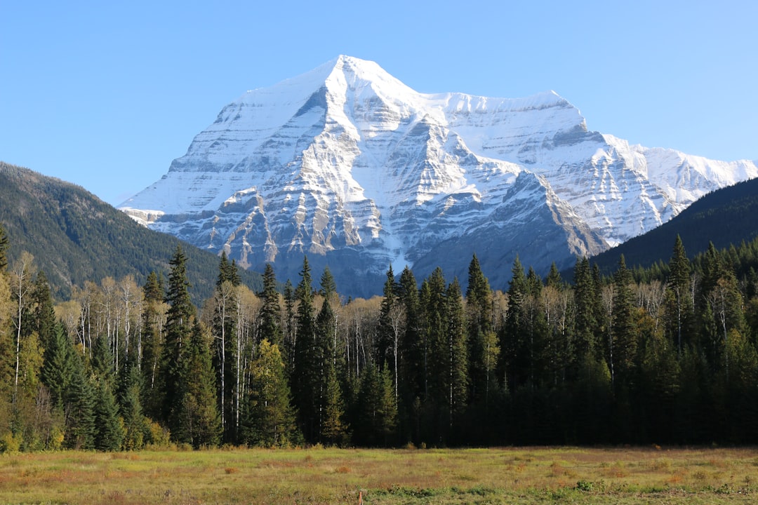 Nature reserve photo spot Mount Robson Grande Cache