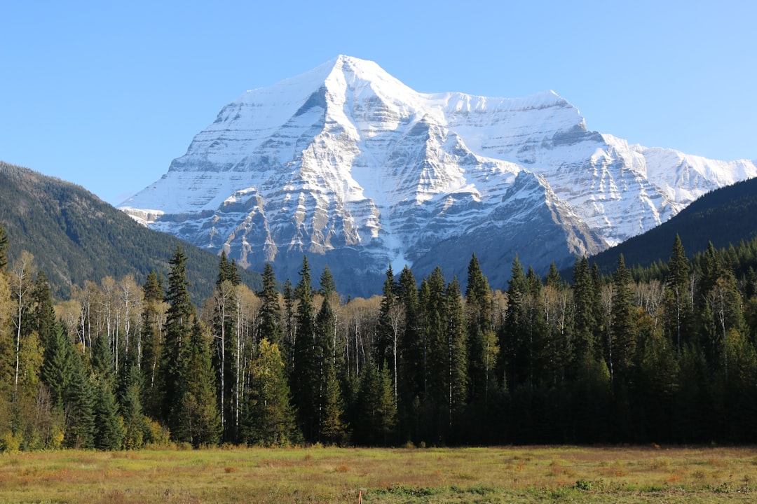 Nature reserve photo spot Mount Robson Athabasca