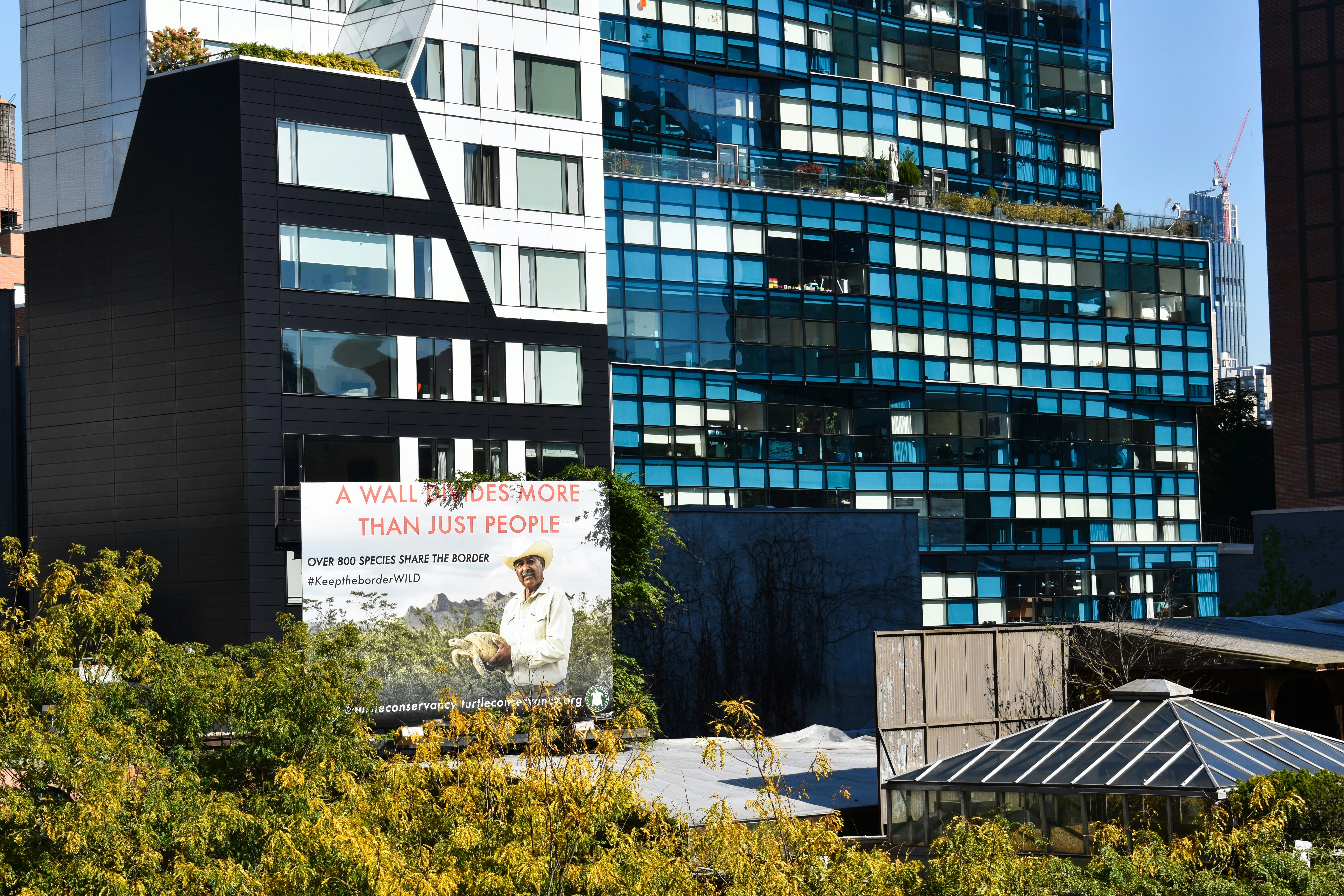 high-angle photography of building curtain window