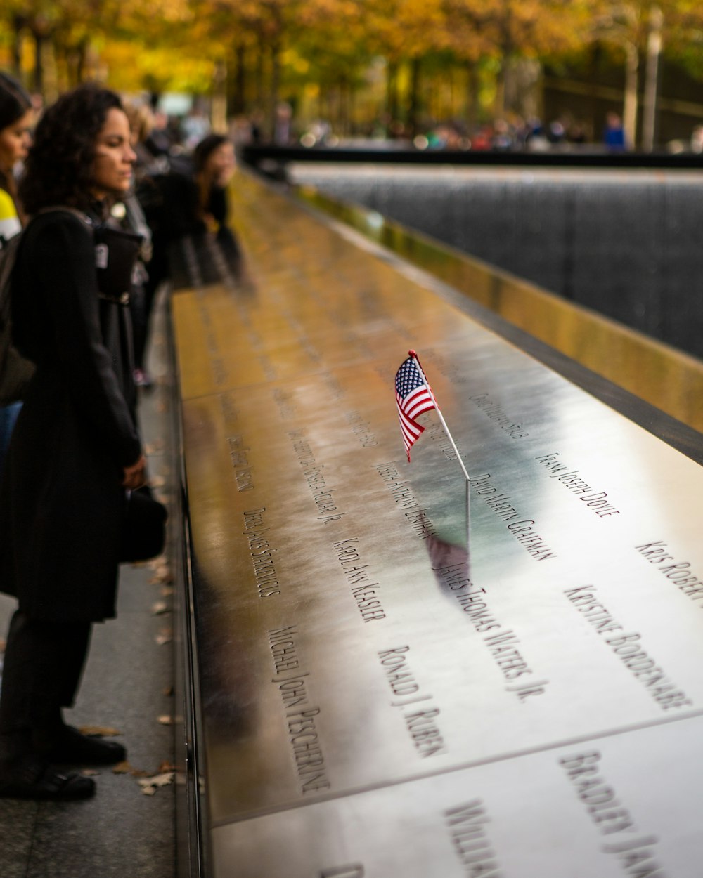 USA flag near the woman wearing black jacket