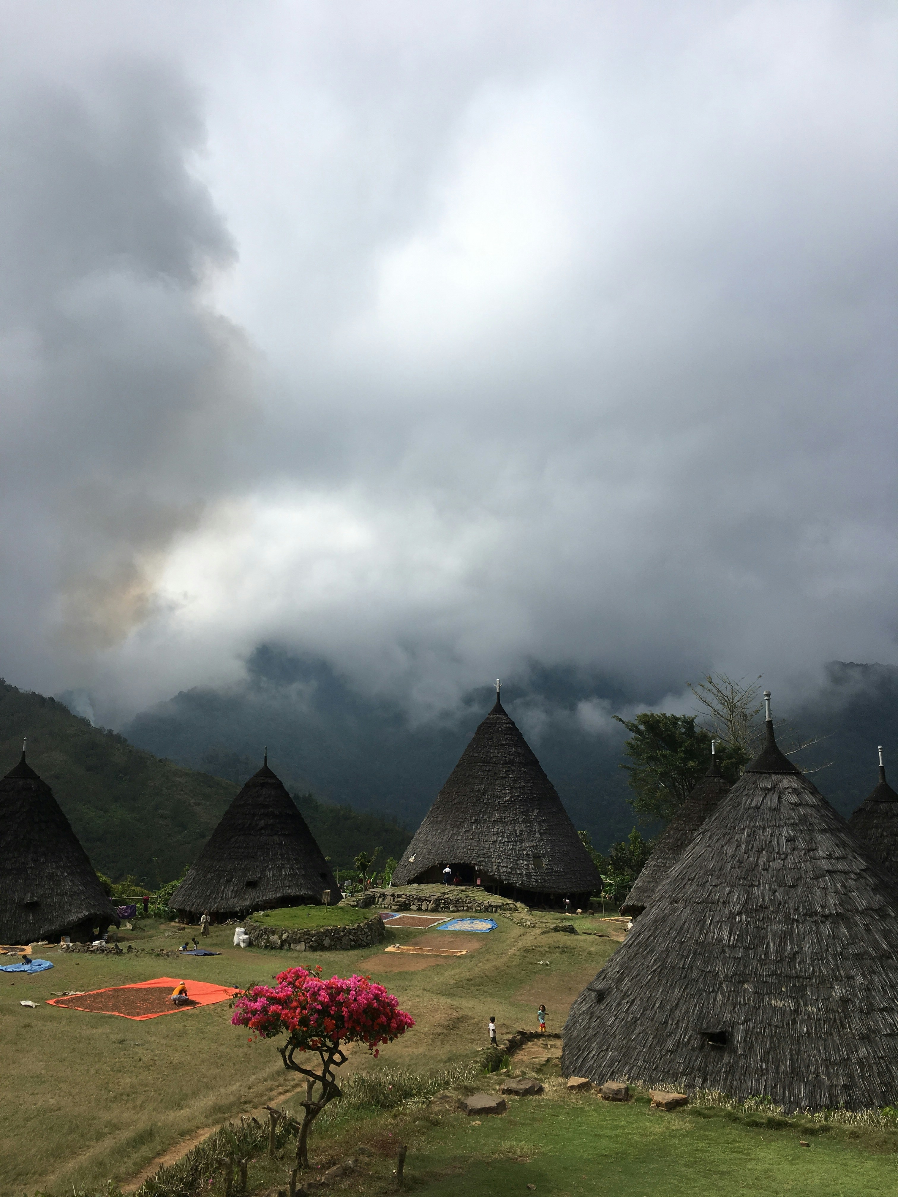 thatch buildings on grass field during day